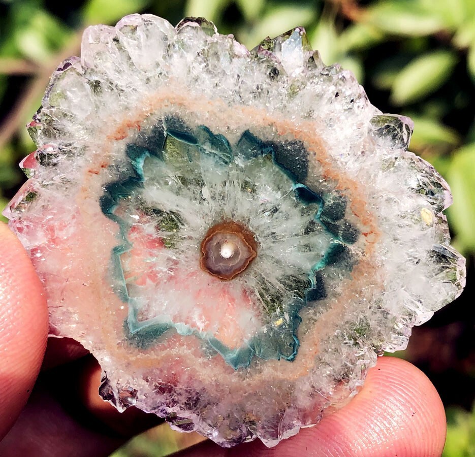 100CT WOW! Boutique Natural Trapiche Star Green Amethyst Flower Specimen ip1377
