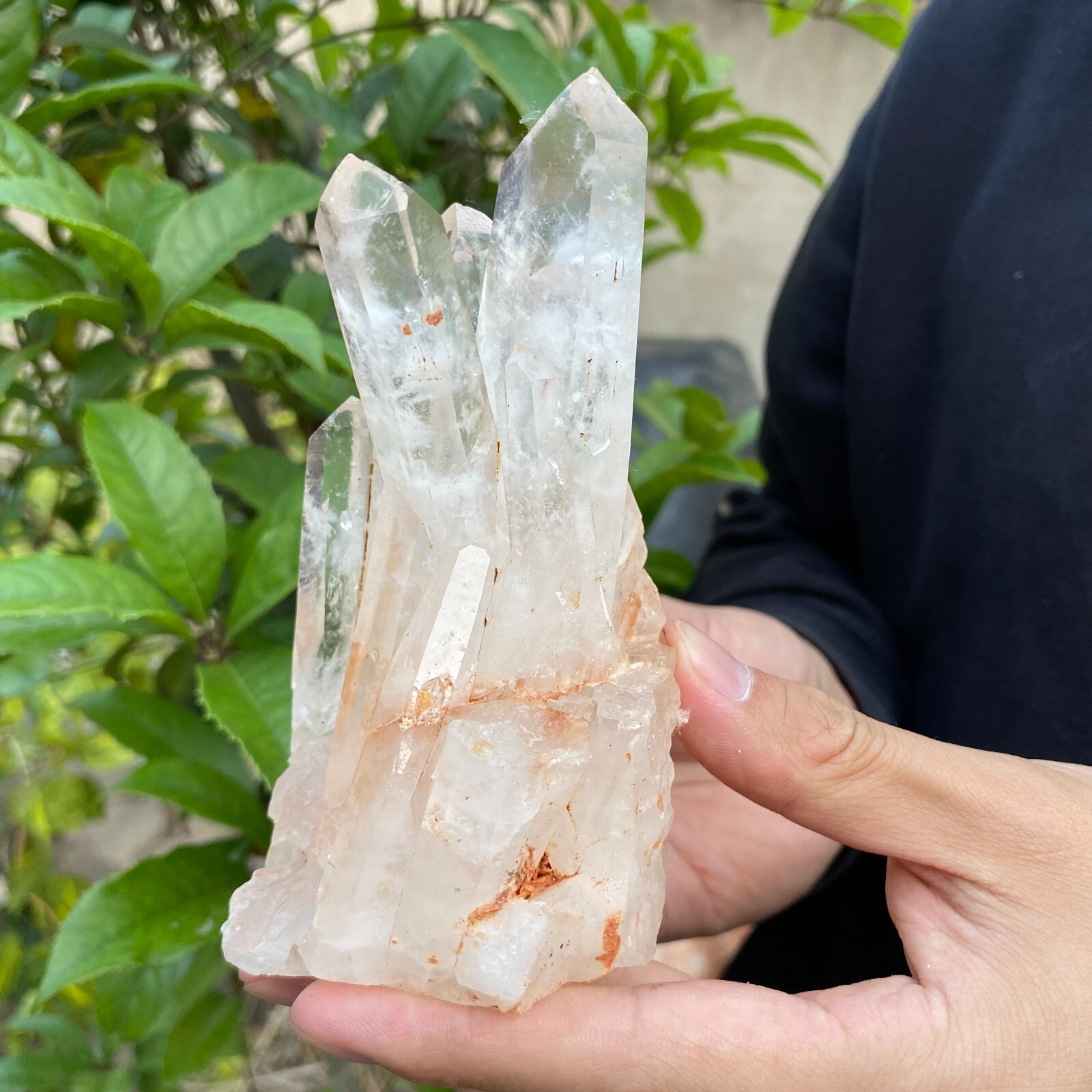 1.2lb Natural Clear White quart Crystal Cluster Raw Healing Specimen
