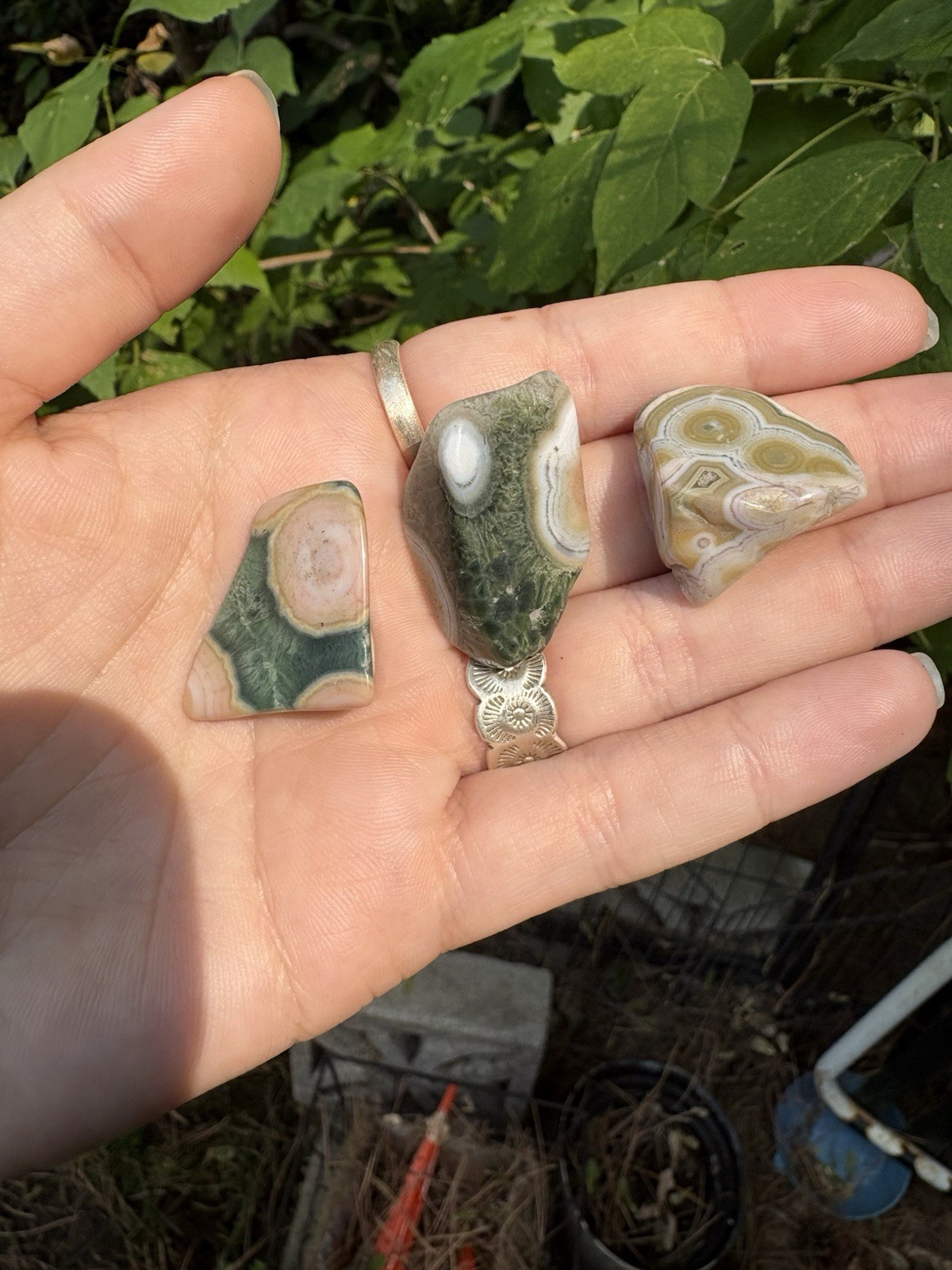 Orbicular Ocean Jasper Set