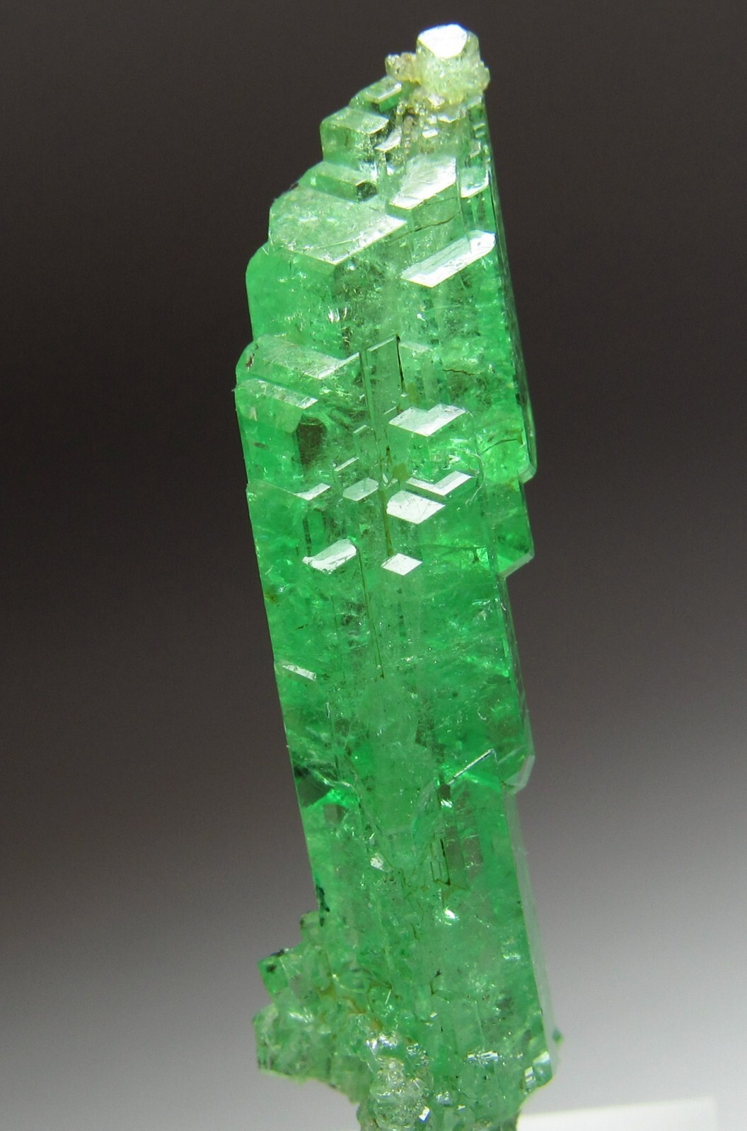 UNSURPASSED ELITE LIGHTNING BOLT TSAVORITE GROSSULAR GARNET CRYSTAL!!! TANZANIA