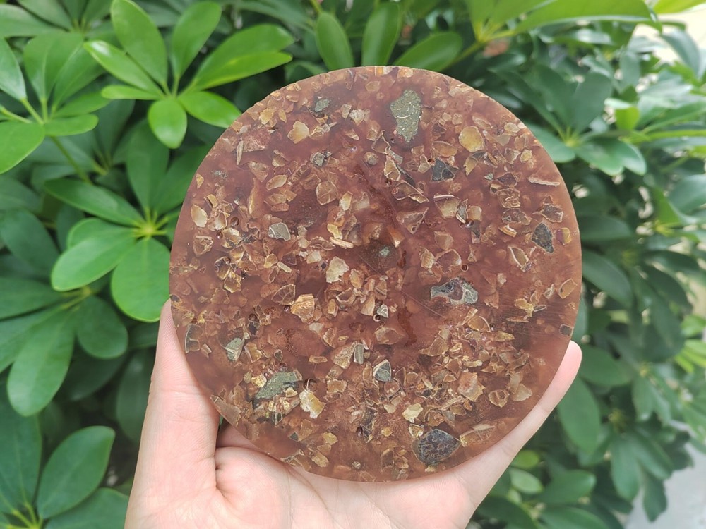 Natural Ammonite Disc Fossil Conch Specimen Healing +Stand 1PC