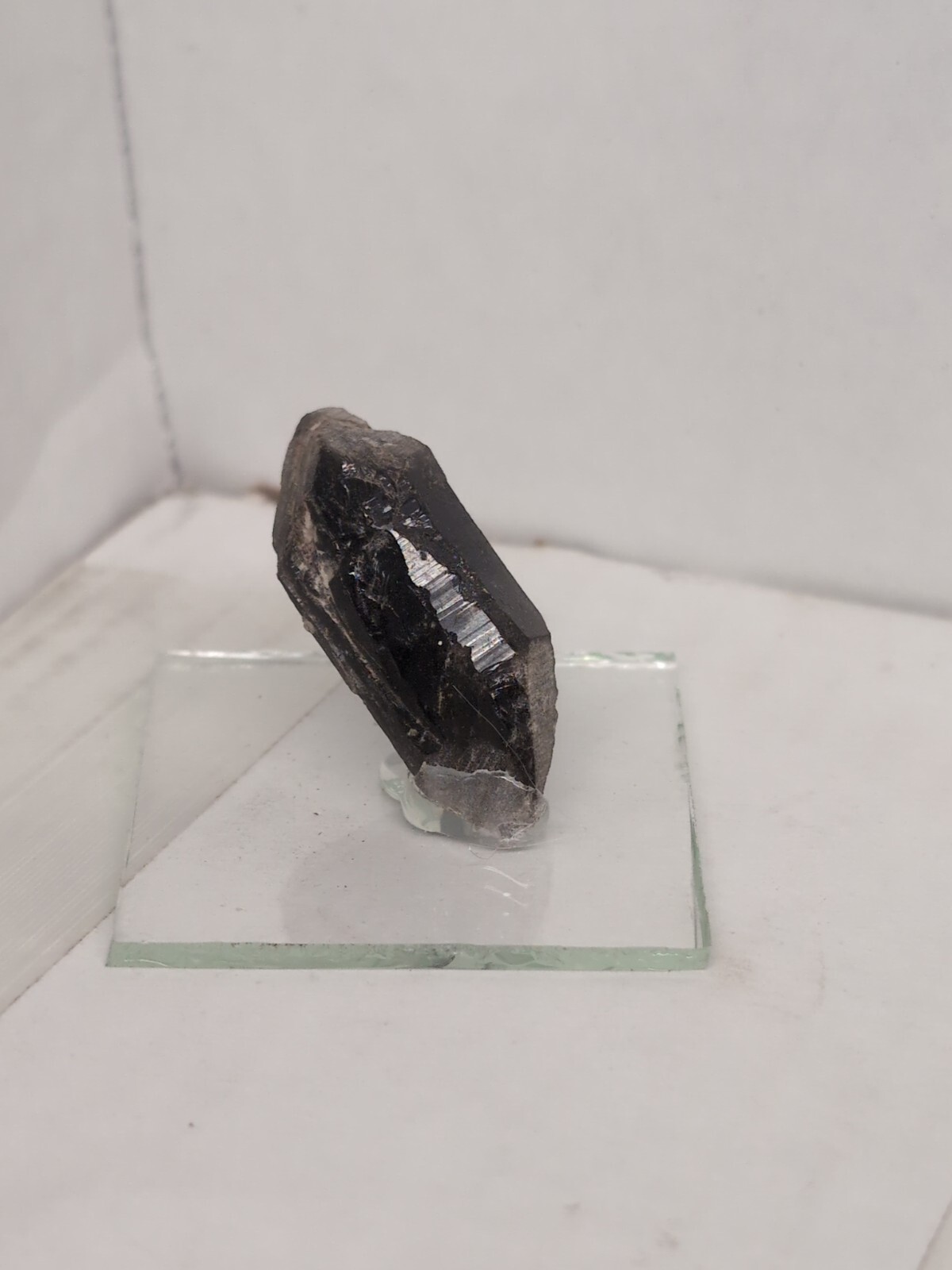 Rare Black Widow Quartz Point Hand Dug Colorado USA crystals Hard To Find