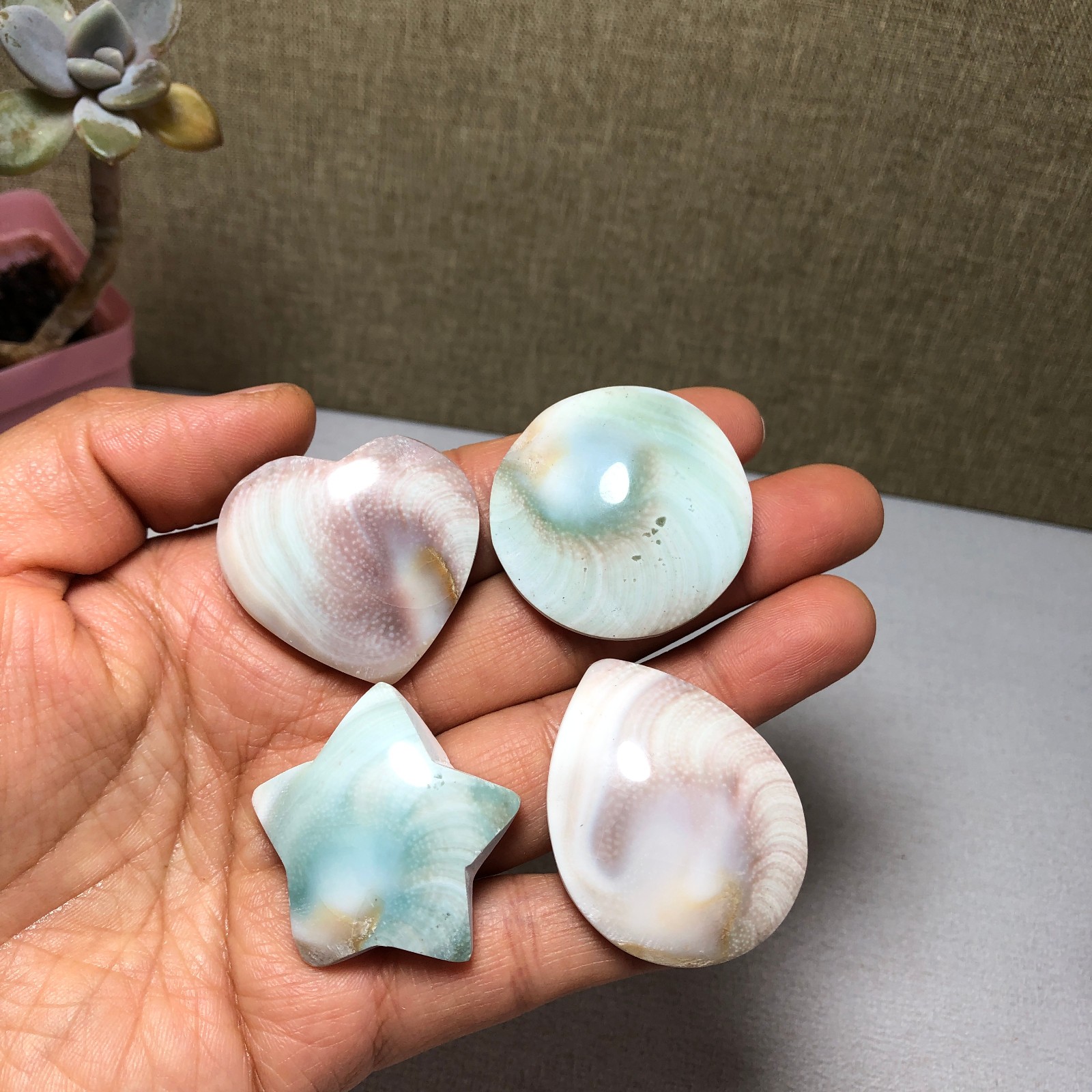 4pcs Rare sun shell Reiki Shiva Eye ocean semi-precious stone 70g A2755