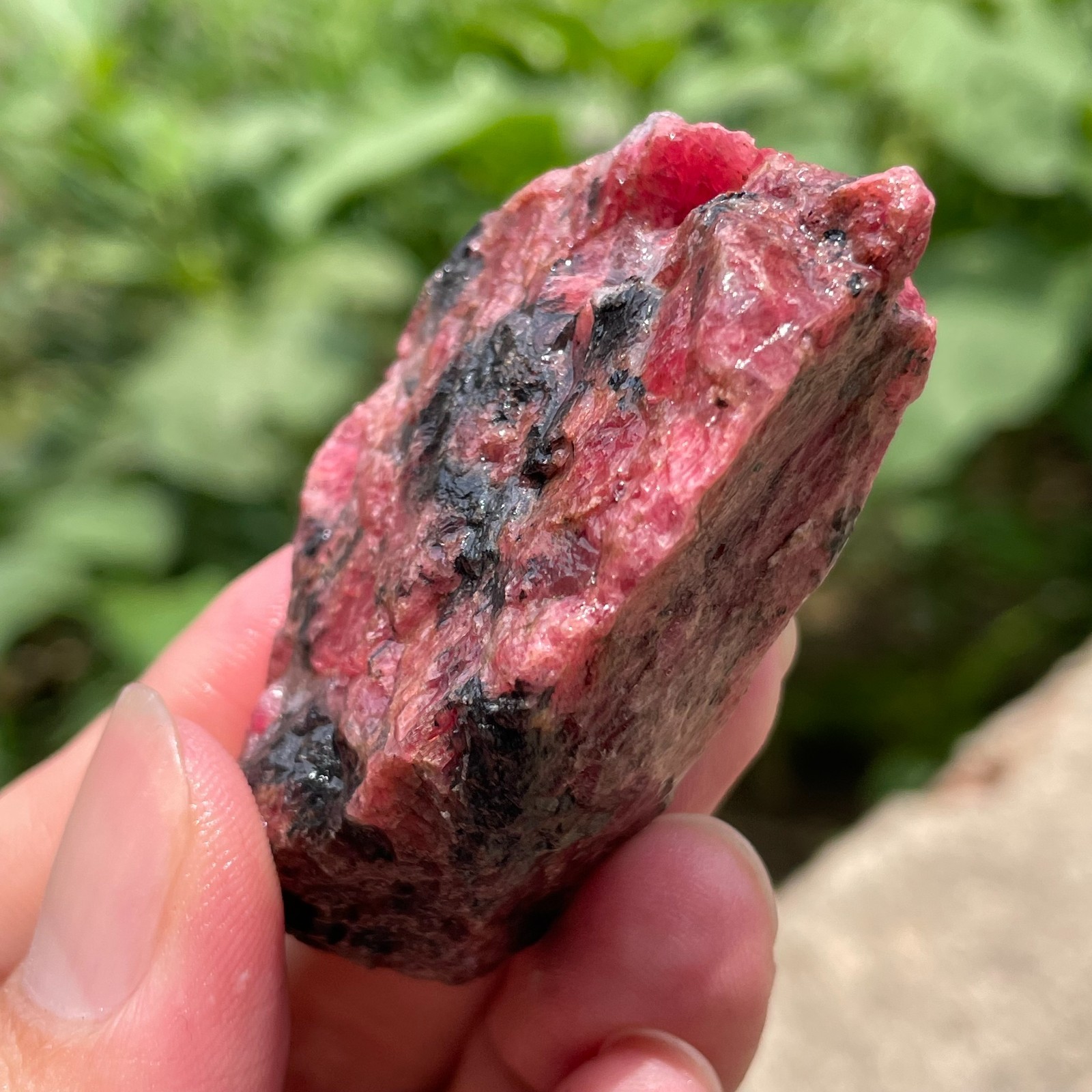 84g Small Raw Ore Red Black Rhodonite Quartz Gemstone Mineral Specimen