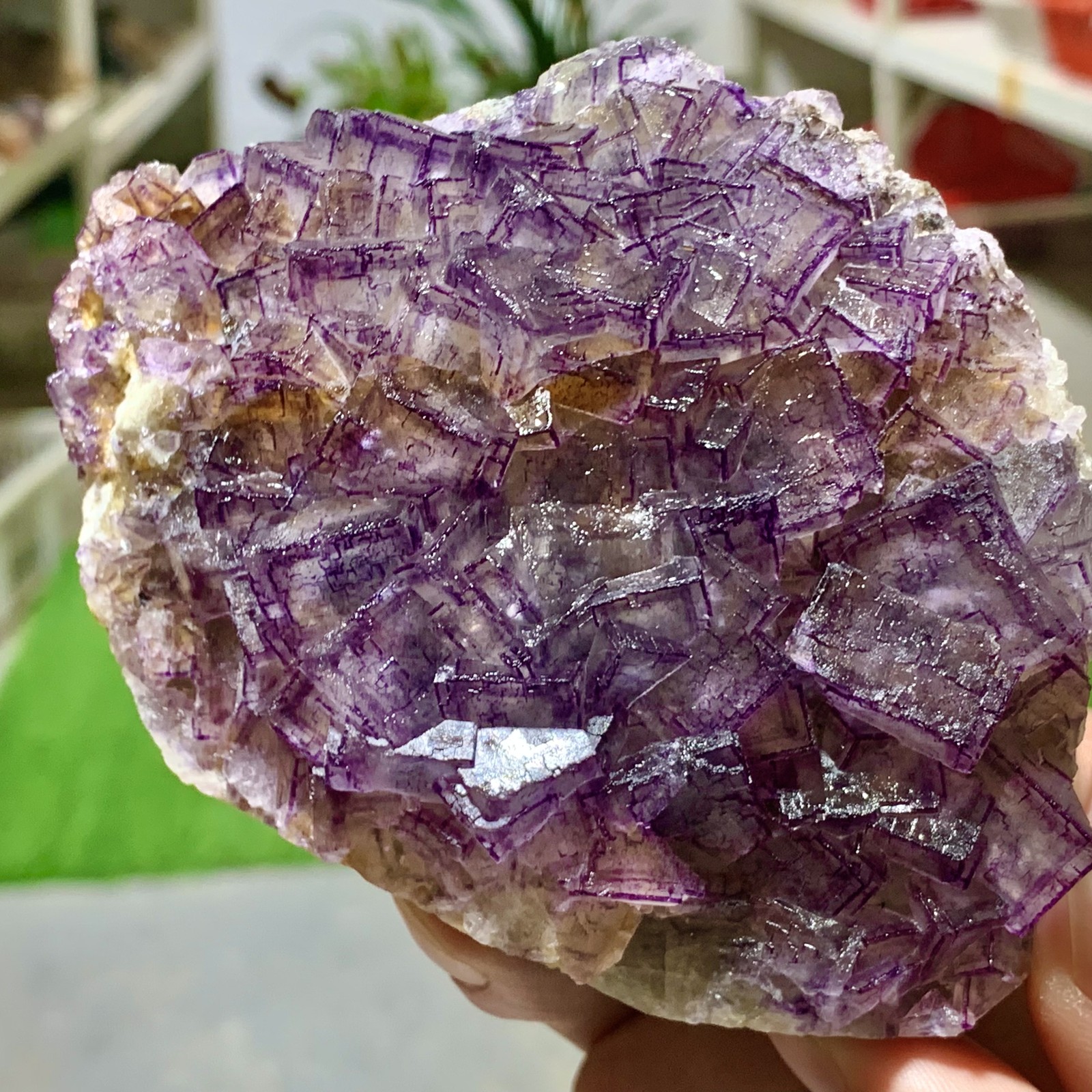 443G Inner Mongolia Natural Fluorite Purple Edged Cube Crystal Mineral Specimen