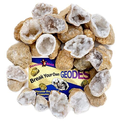 DANCING BEAR 25 Break Your Own Geodes, (Medium 1-1.5″) 90% Assorted Styles
