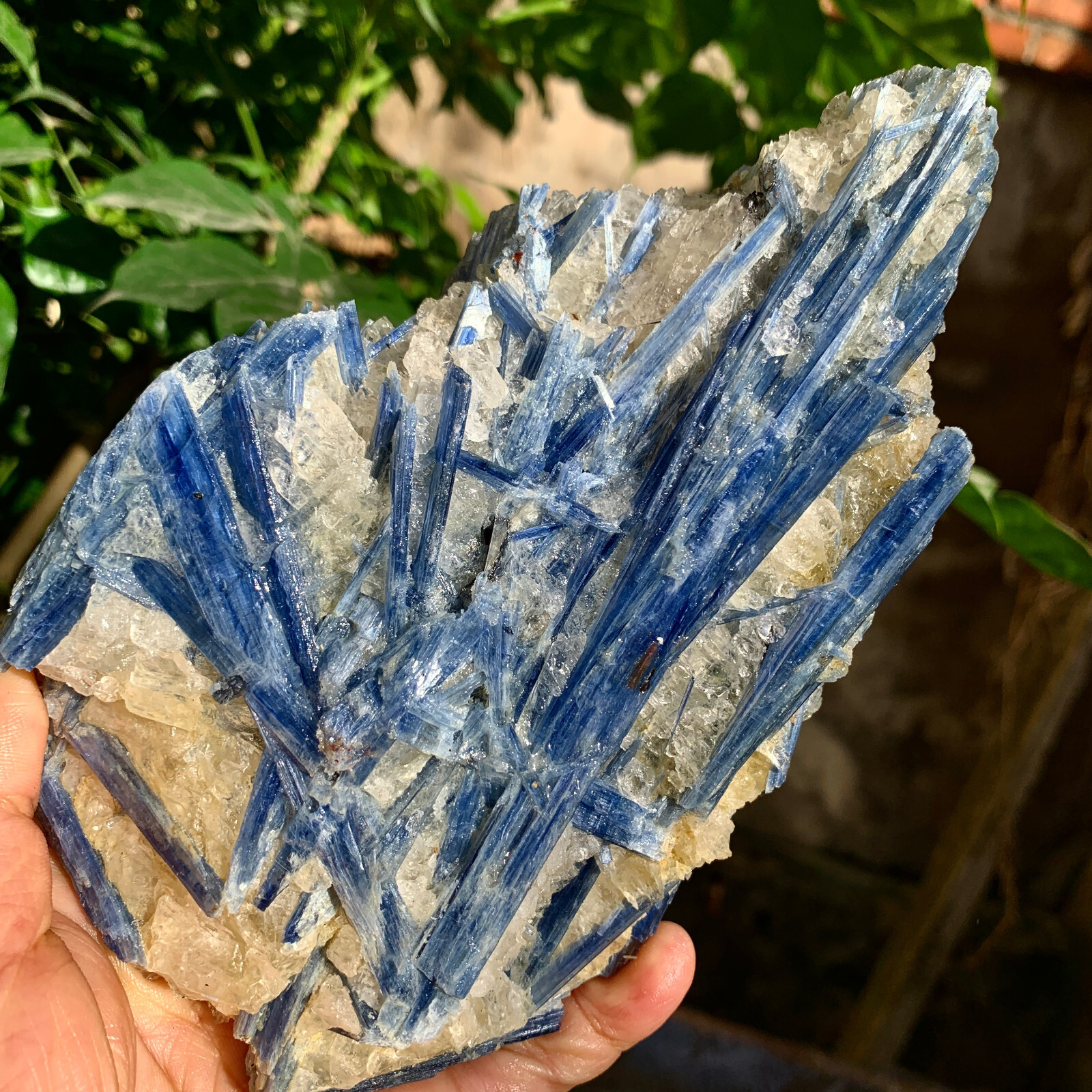 2.24LB Natural beautiful Blue KYANITE with Quartz Crystal Specimen Rough