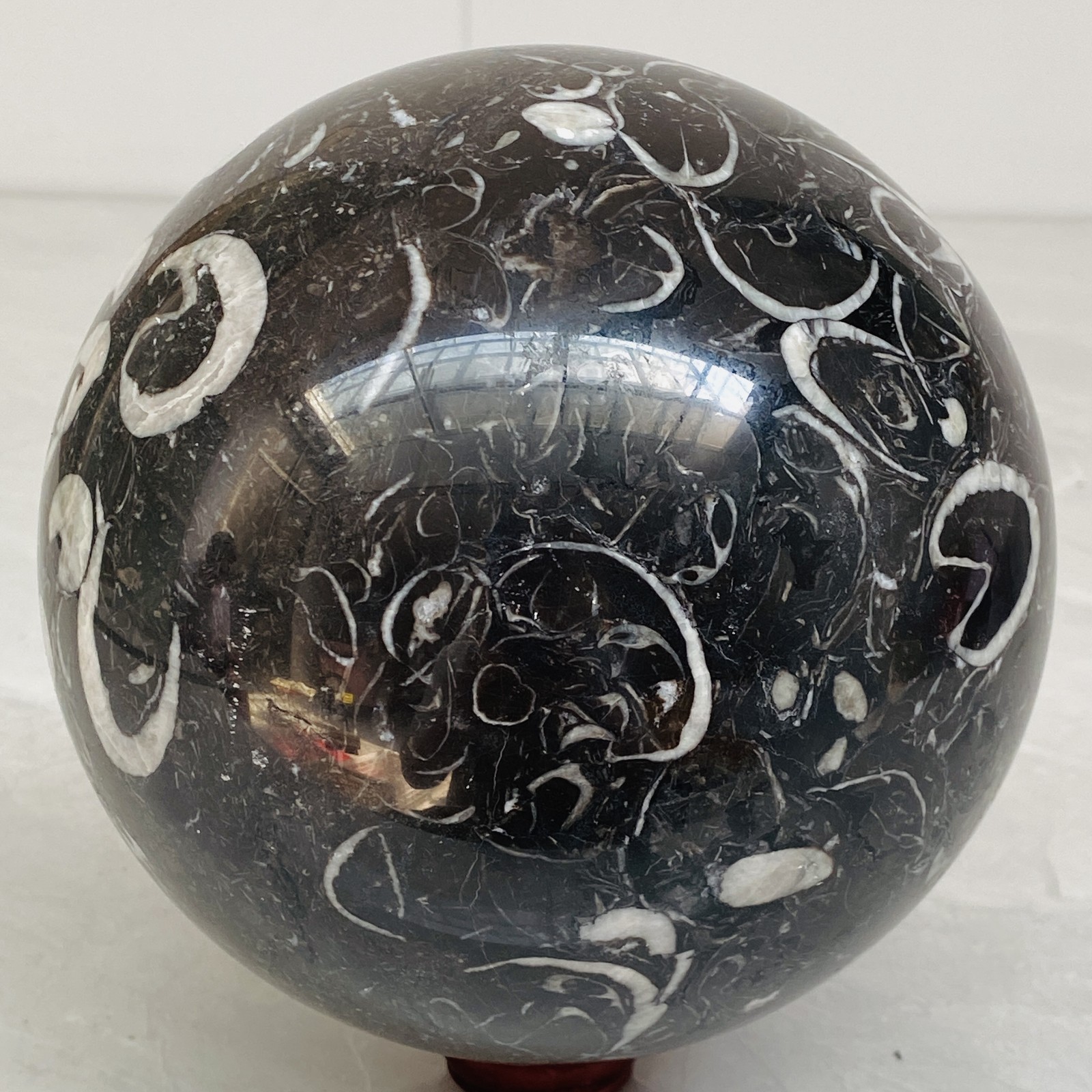 Natural Shell Jasper Thousand Eye Stone Crystal Polished Ball Healing (10.62LB)