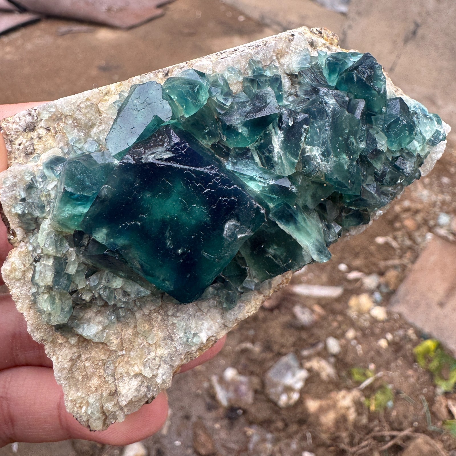 200G Natural cubic green fluorite crystal cluster rough mineral specimen Healing