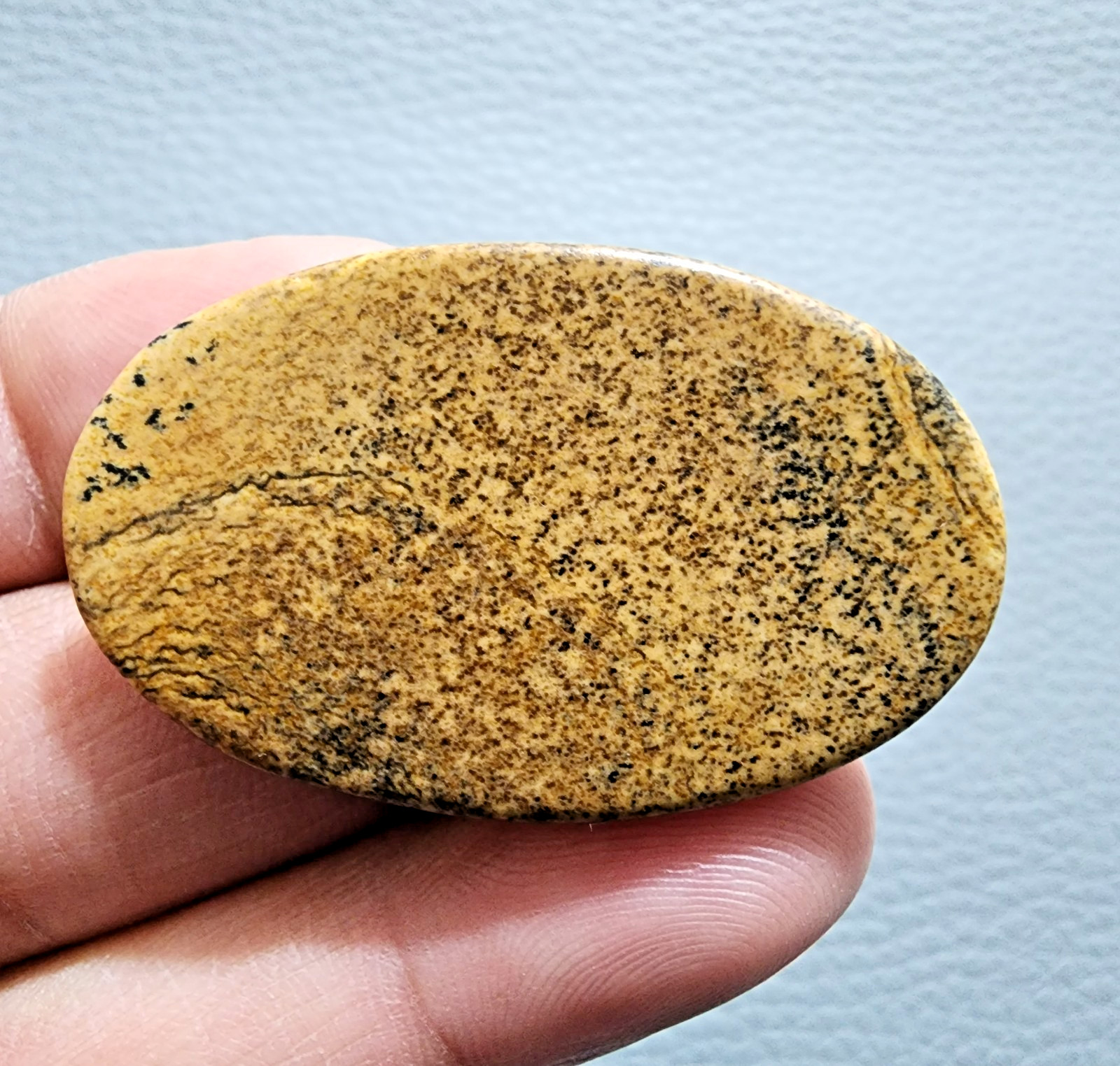 64ct Top Picture Jasper Cabochon Oval Gemstone – Natural Collector Jewelry Stone