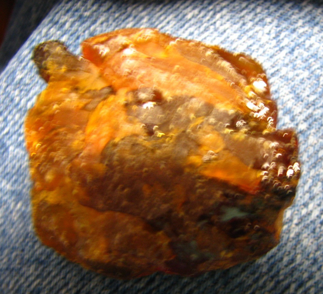5 SPECIMENS PETOSKEY STONE LABRADORITE AMBER RUTILATED QUARTZ SEPTARIAN #079