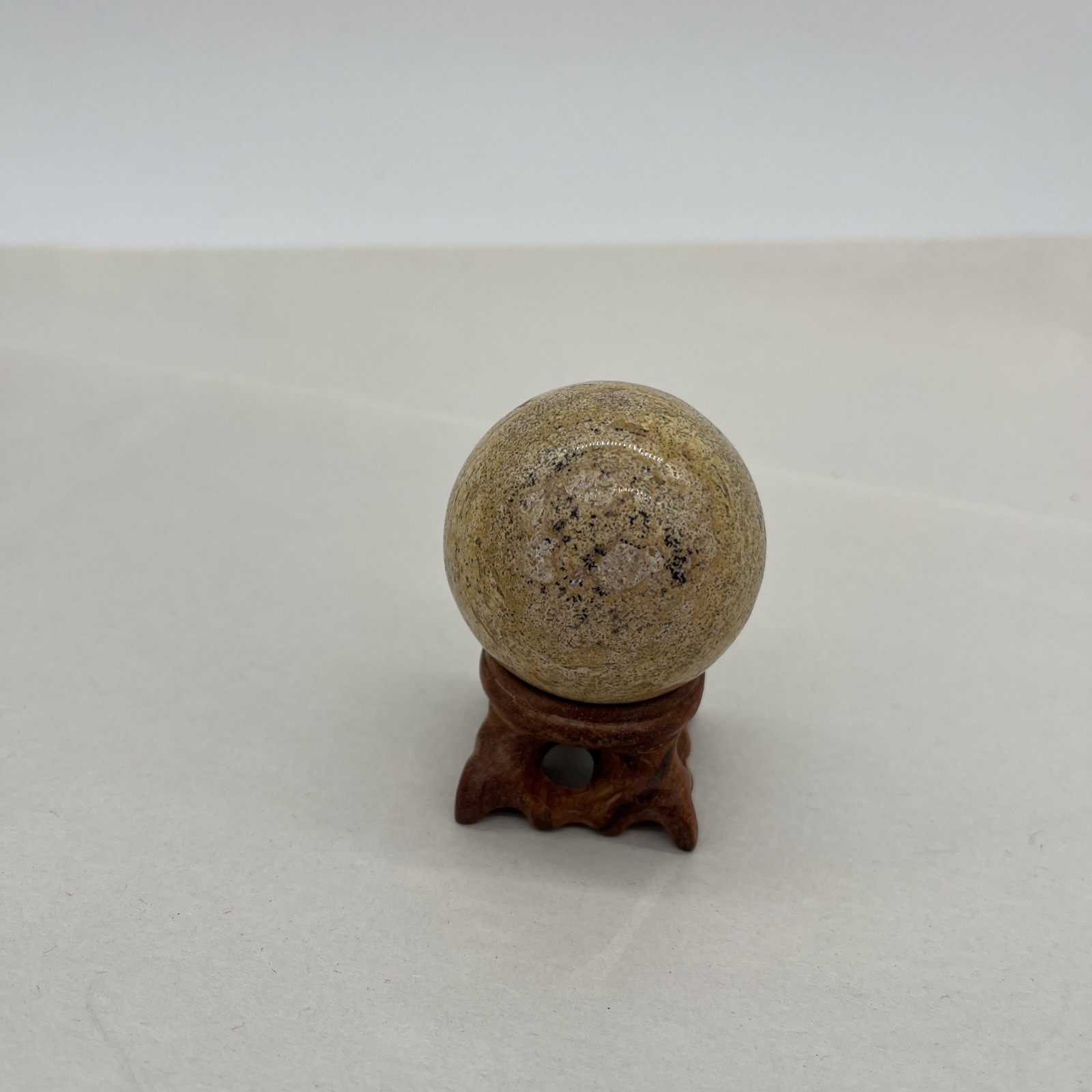 Natural Shell Fossil Quartz Crystal Sphere Ball Stone Healing Mineral Specimen