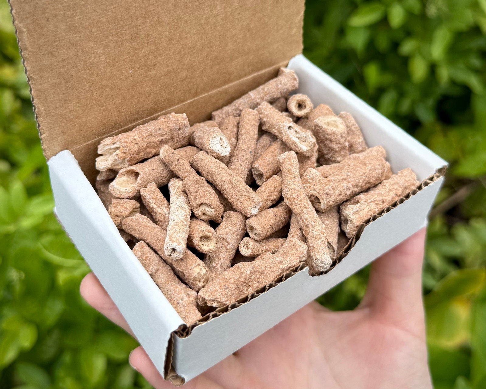 RARE Fulgurite Crystals Collection Box – Natural Lightning Formed Raw Fulgurite