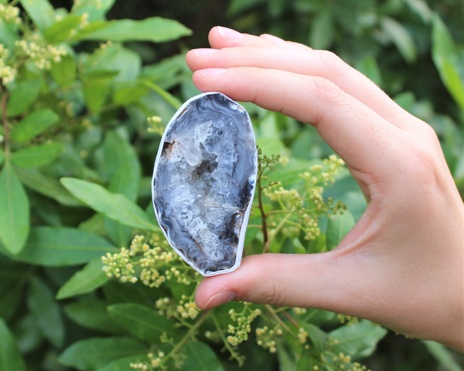 Bulk Large Oco Agate Geodes 1/4 lb Lot, Natural Crystal Druzy Halves (4 oz)