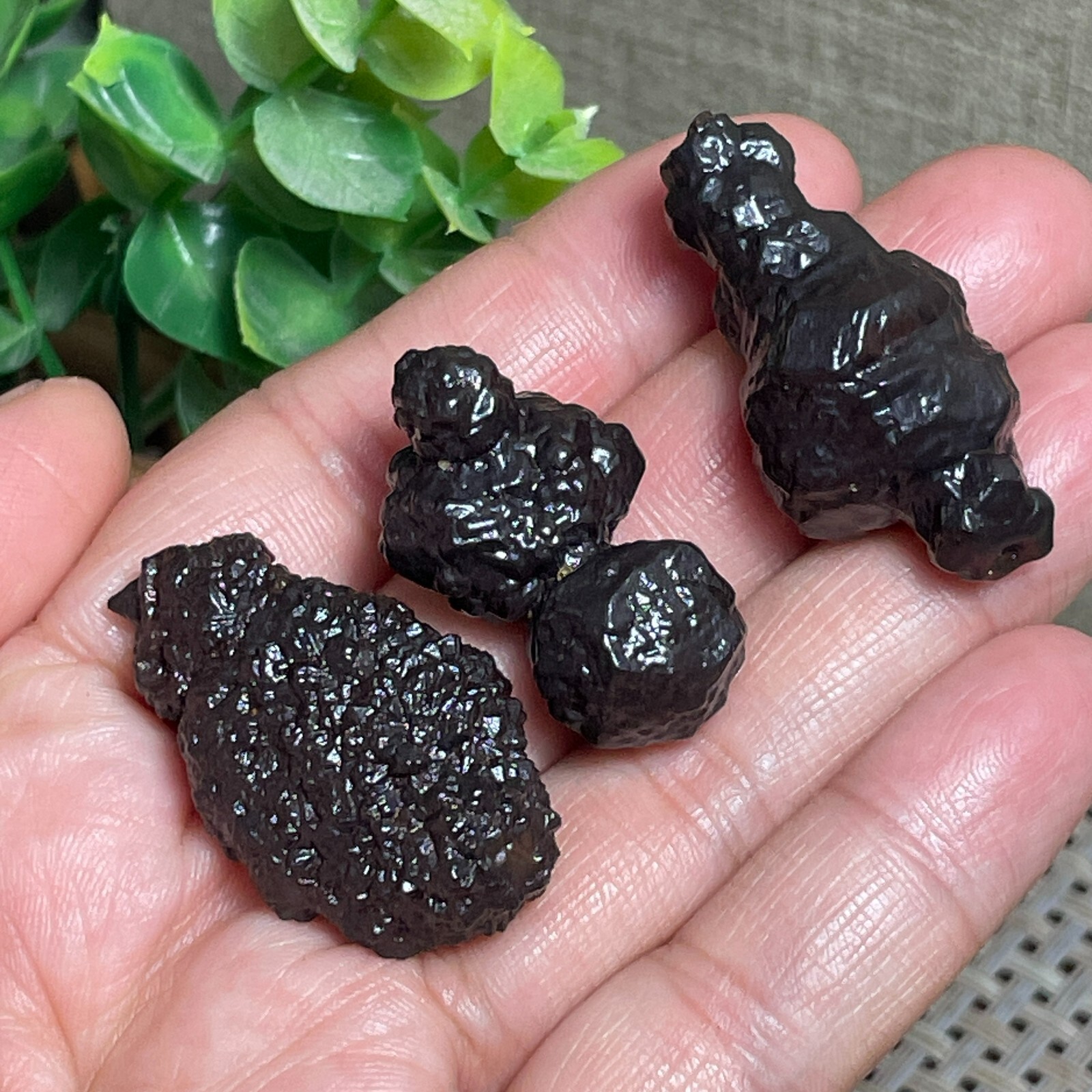 3PC 47g Prophecy Stone Pseudomorph Hematite Goethite after Marcasite Egypt E1544