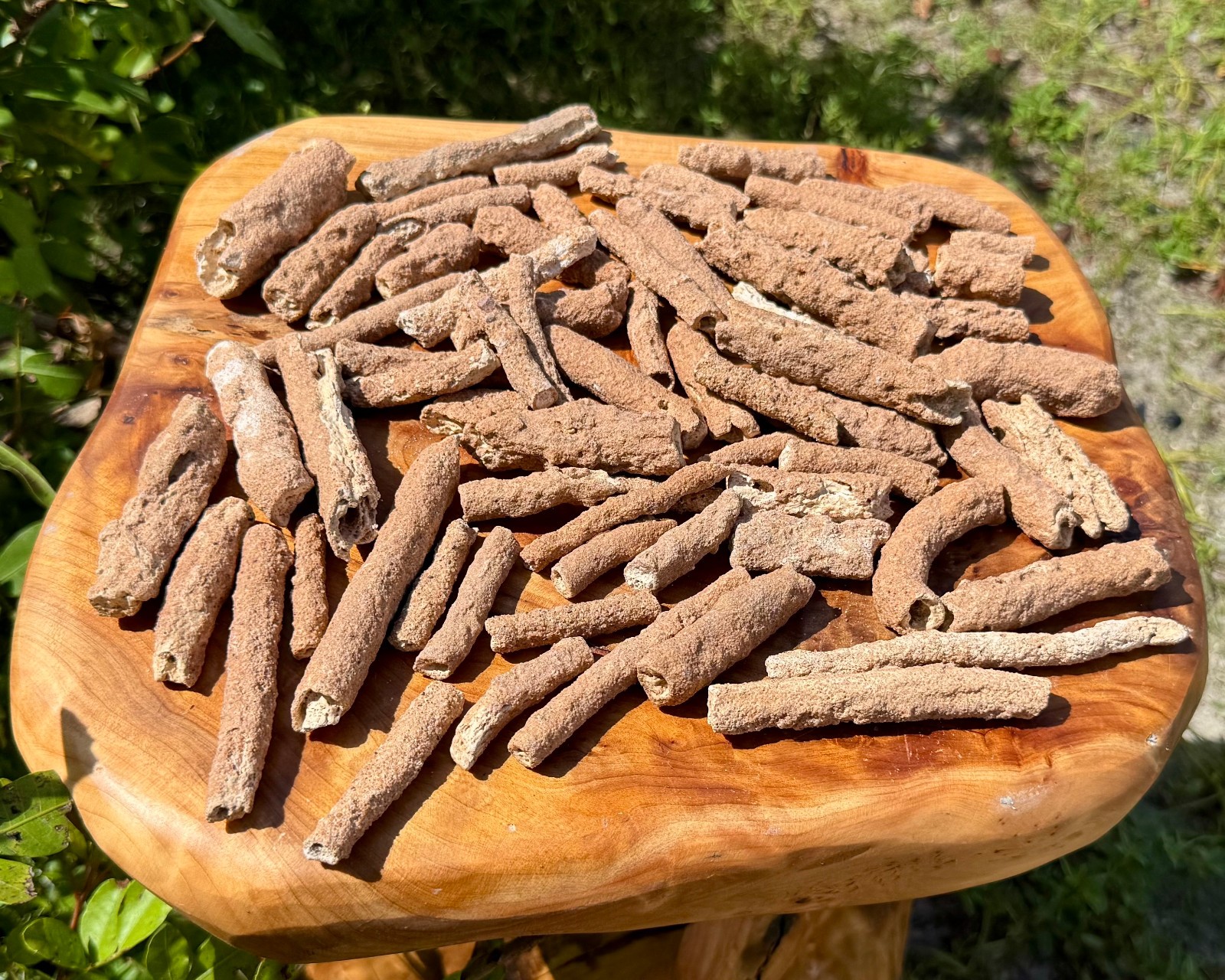 RARE Fulgurite Crystals Collection Box – Natural Lightning Formed Raw Fulgurite