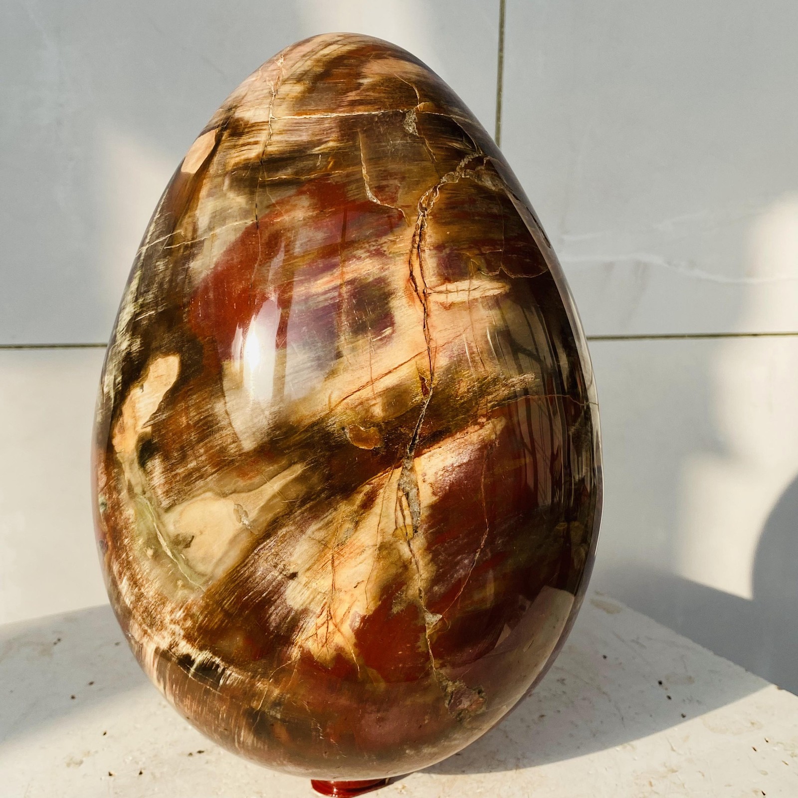 Natural Petrified Wood Egg Quartz Crystal Fossil Mineral 7760g