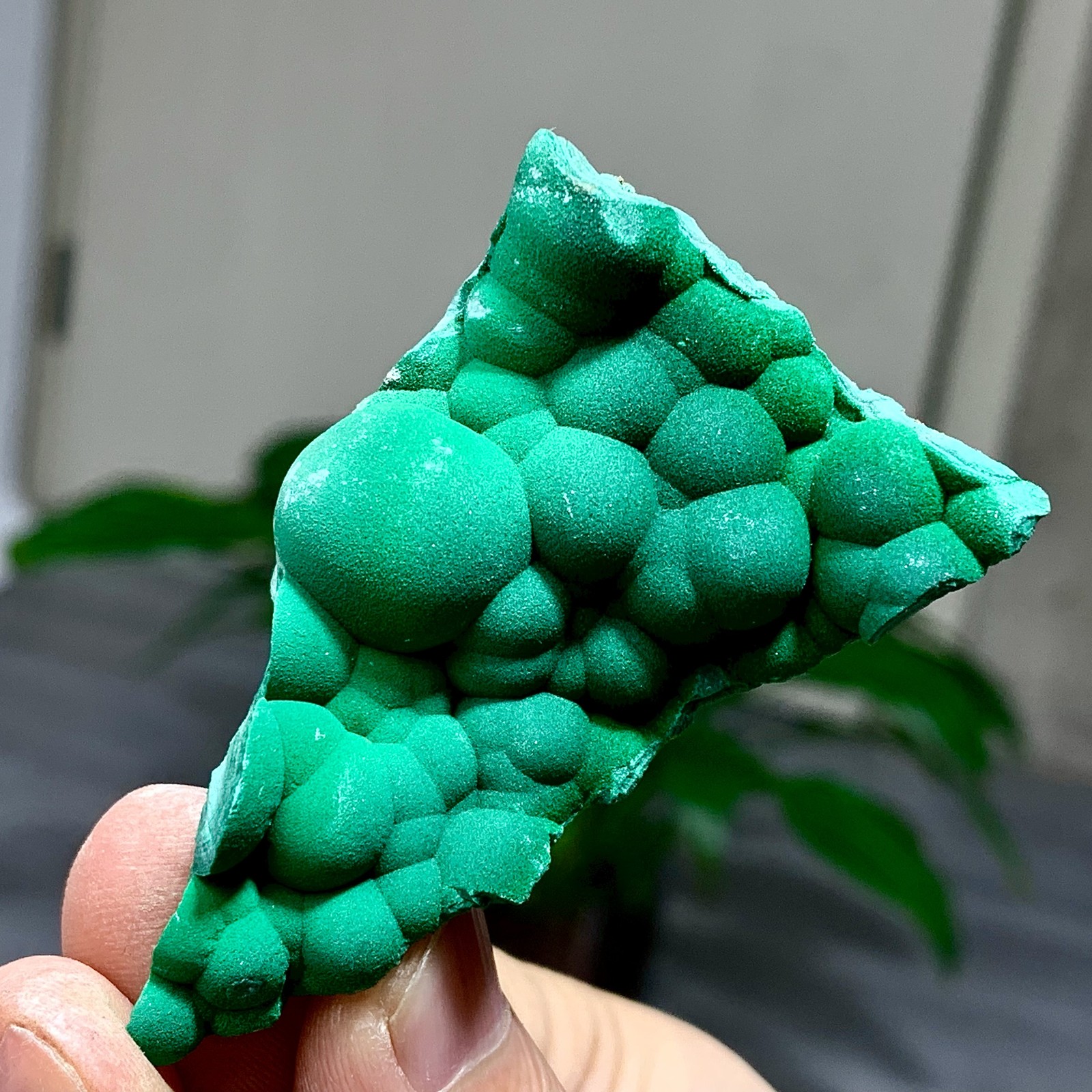 47G Natural spherical velvet malachite cat eye cluster rough mineral Sample