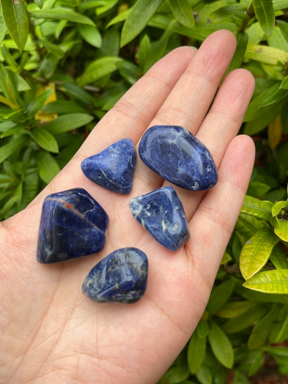 Grade A++ Sodalite Tumbled Stone, 0.8-1.25″ Tumbled Sodalite Stone,Pick a Weight
