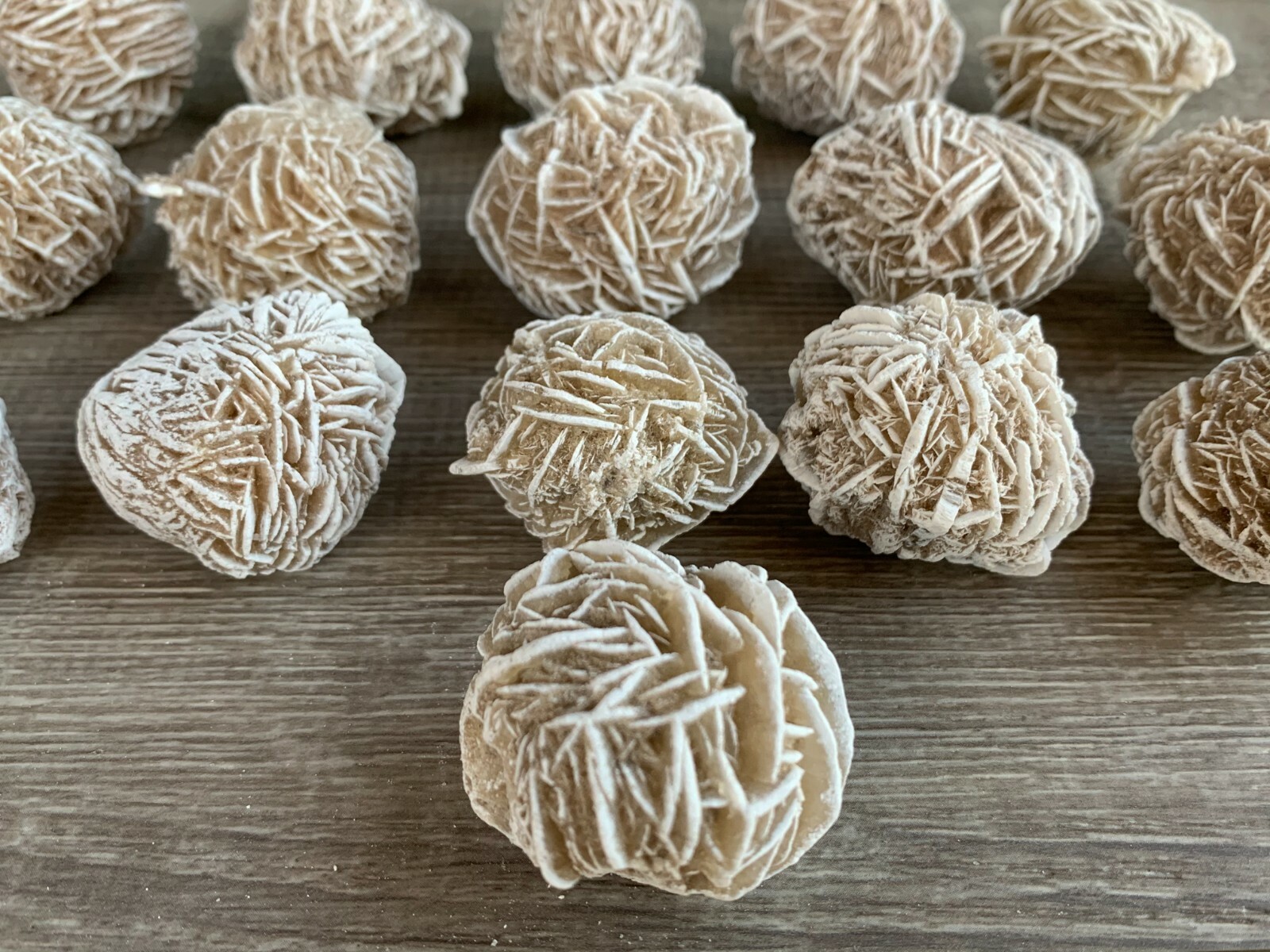 Desert Rose Selenite, 1.25-1.5 Inch Desert Gypsum Rose, Wholesale Bulk Lot