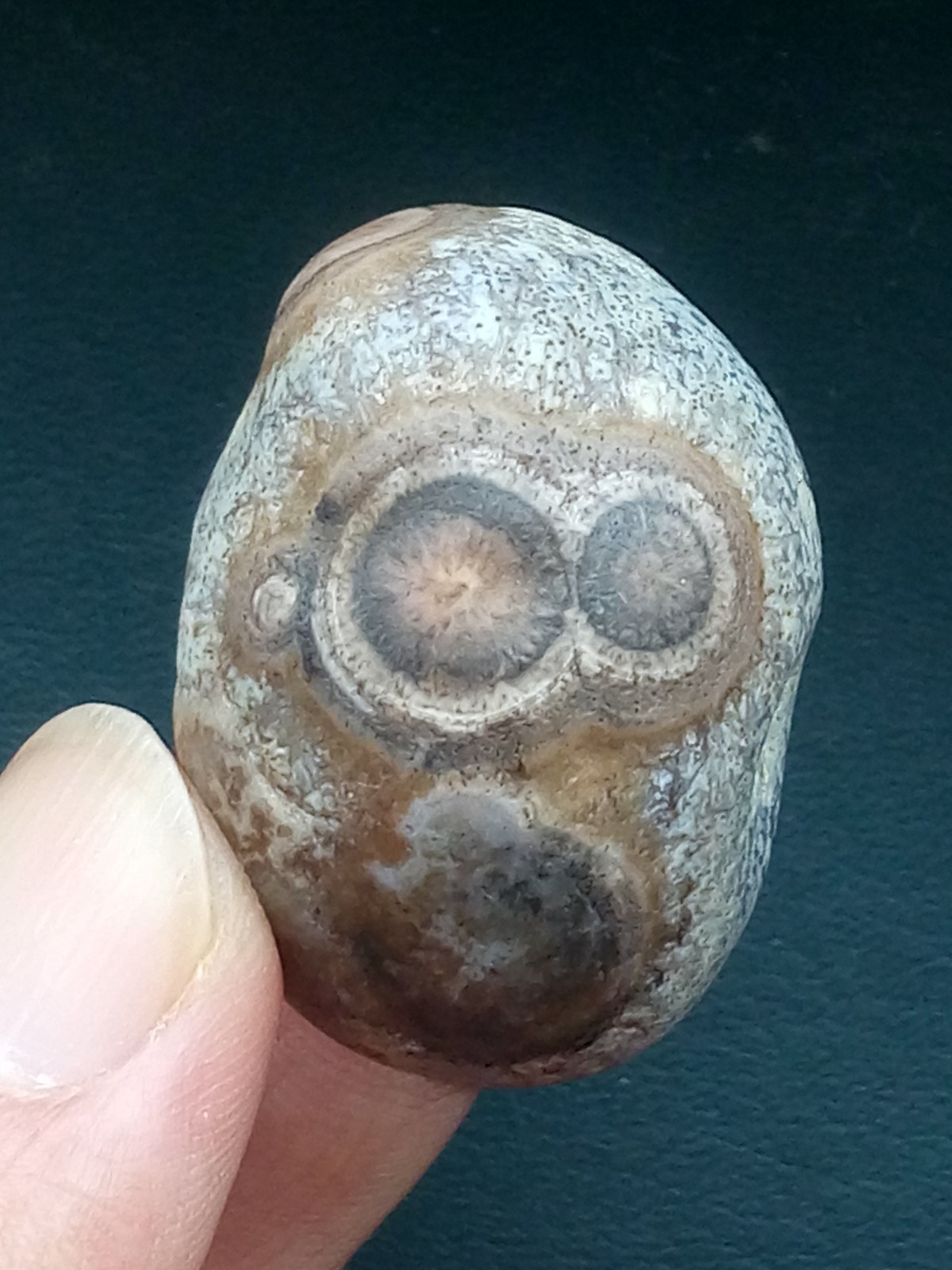 36mm Natural Gobi Agate eye agate collection
