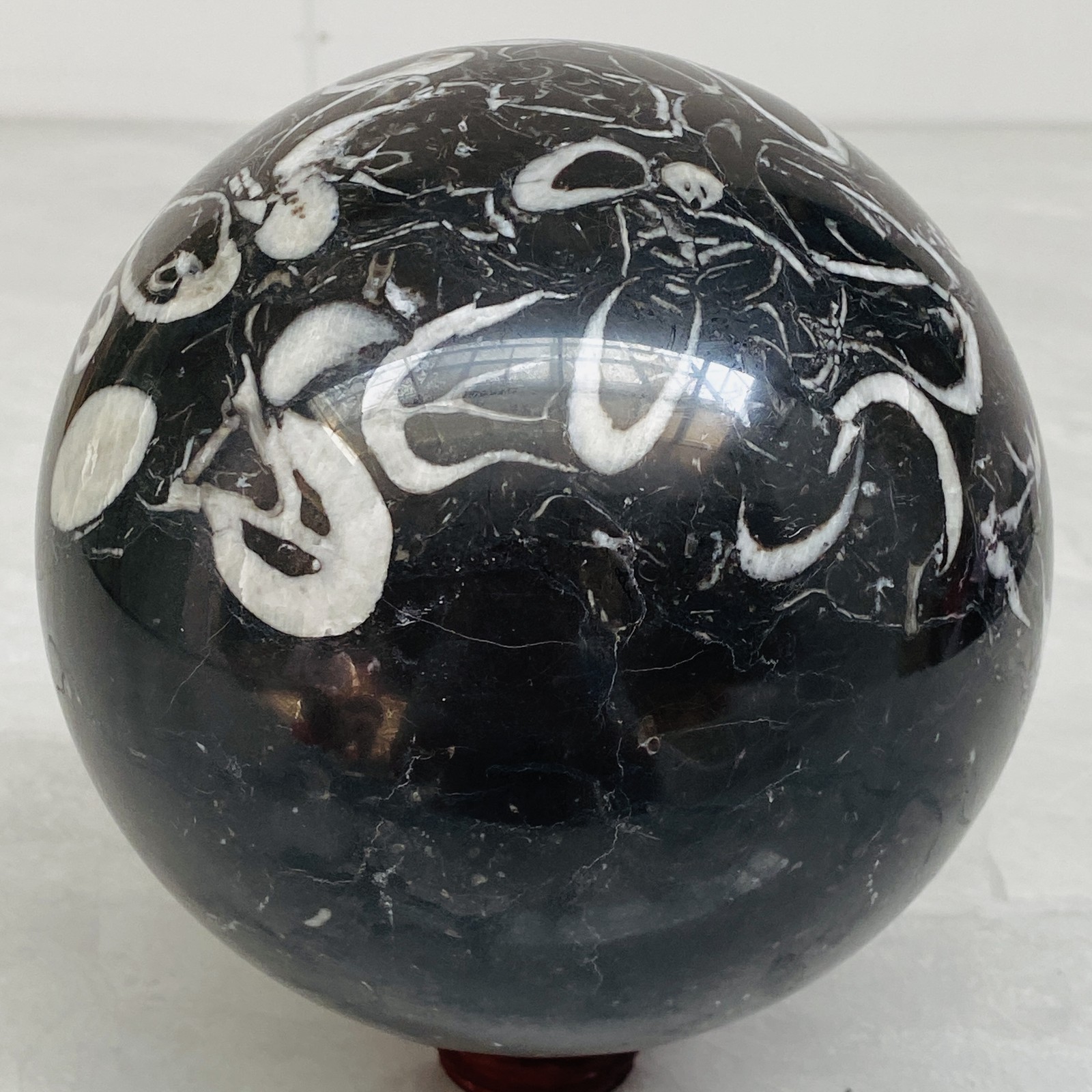 Natural Shell Jasper Thousand Eye Stone Crystal Polished Ball Healing (8.81LB)