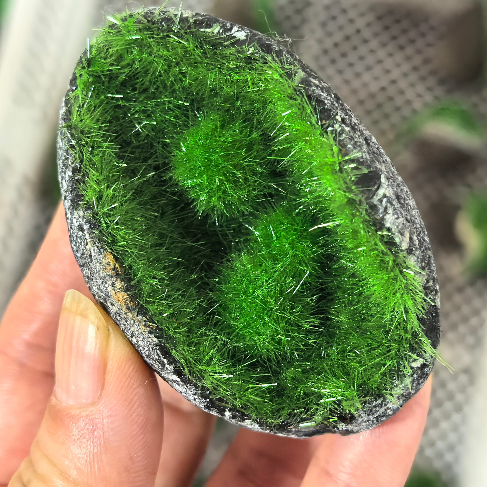 Meteorite Quartz Crystal Specimens Goethite green Copper Ore Clusters Gifts 1pc