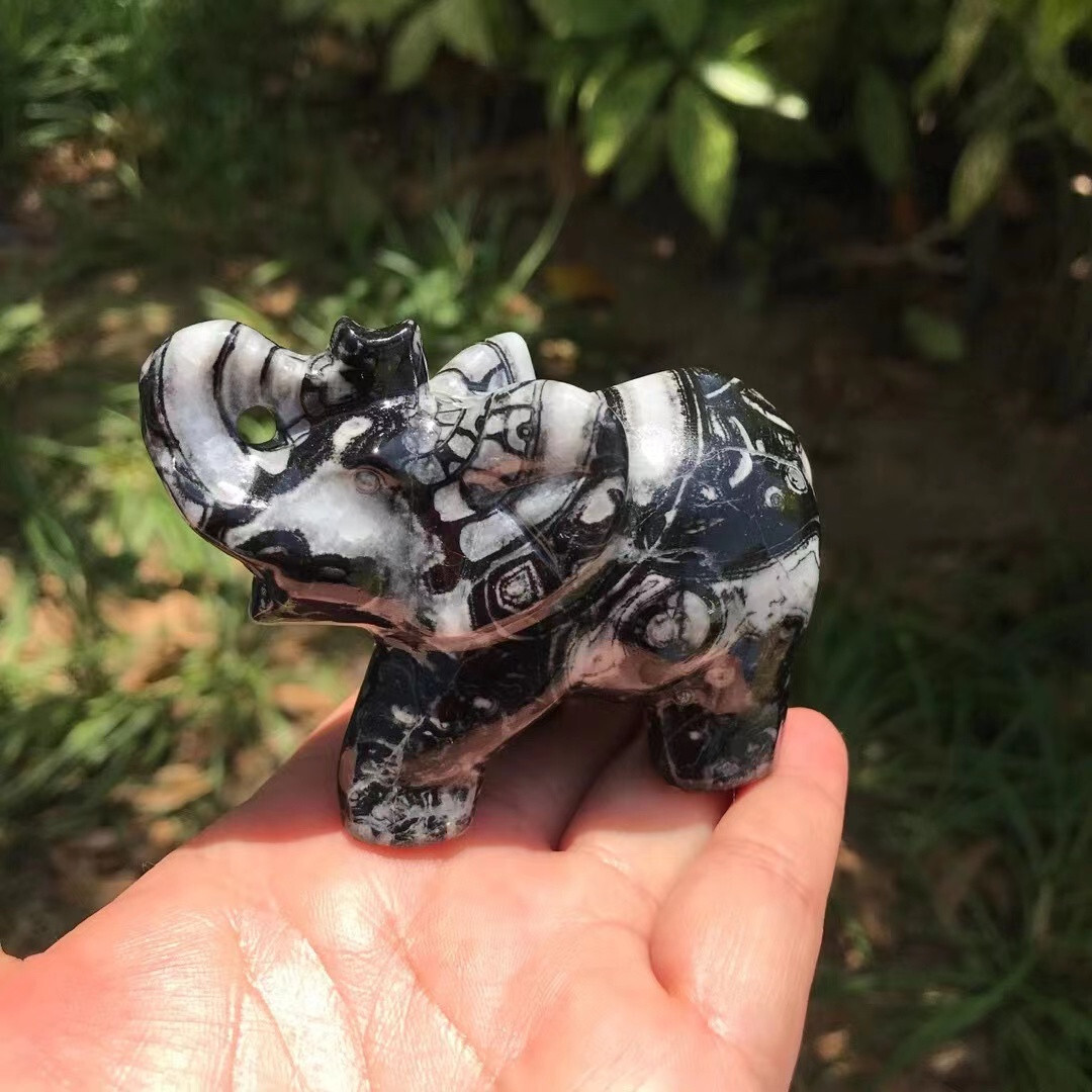Natural Elephant 🐘 (Shell stone) quartz crystal Random 1PC