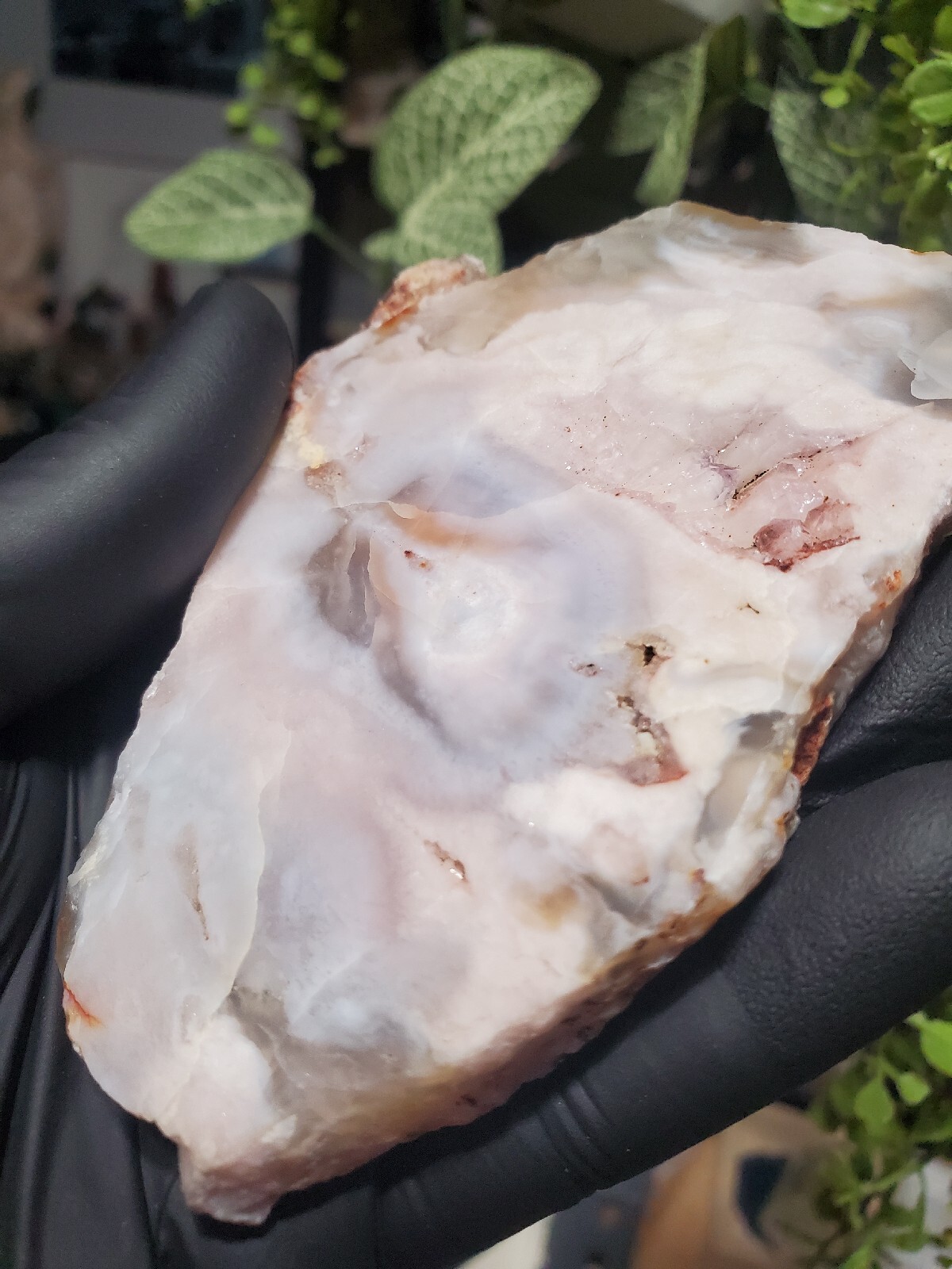 124g Beautiful Flower Agate Slice Slab Crystal Quartz Energy Healing Crystal