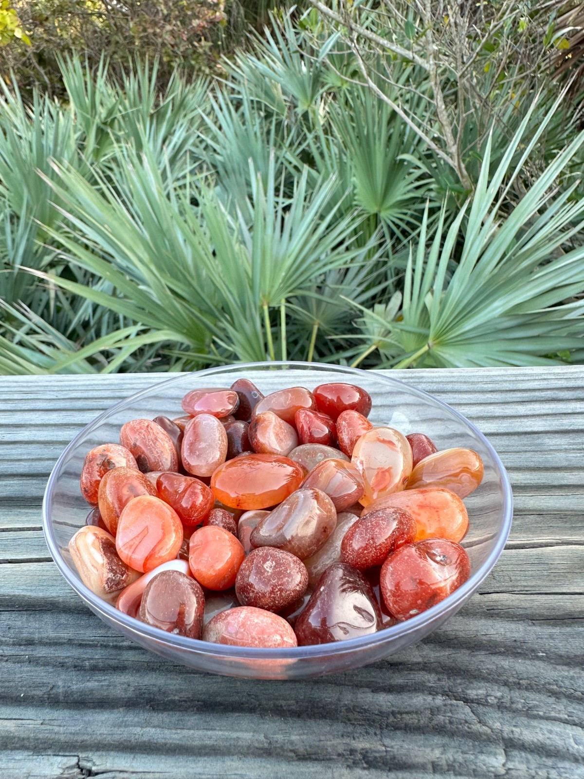 1/2 lb Carnelian Tumbled Stones – Bulk Polished Orange Crystals Lot (8 oz)