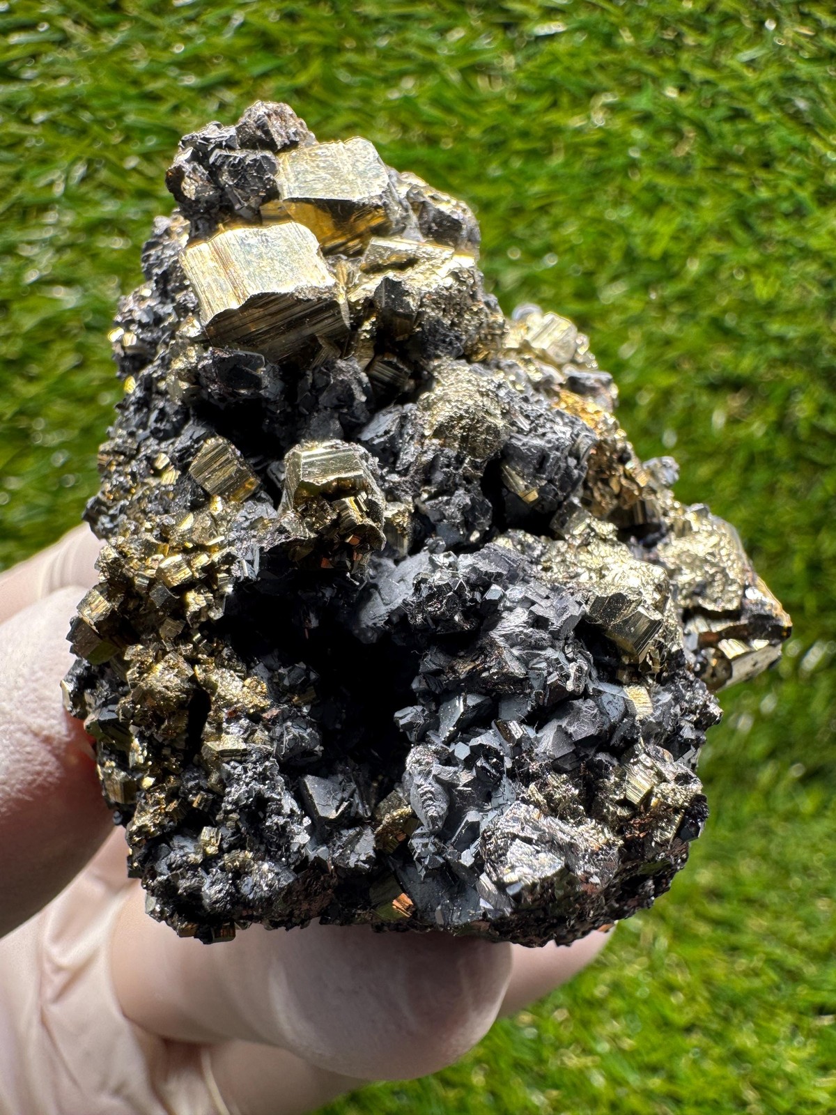 Shiny CLUSTER of GALENA and PYRITE directly from / F116