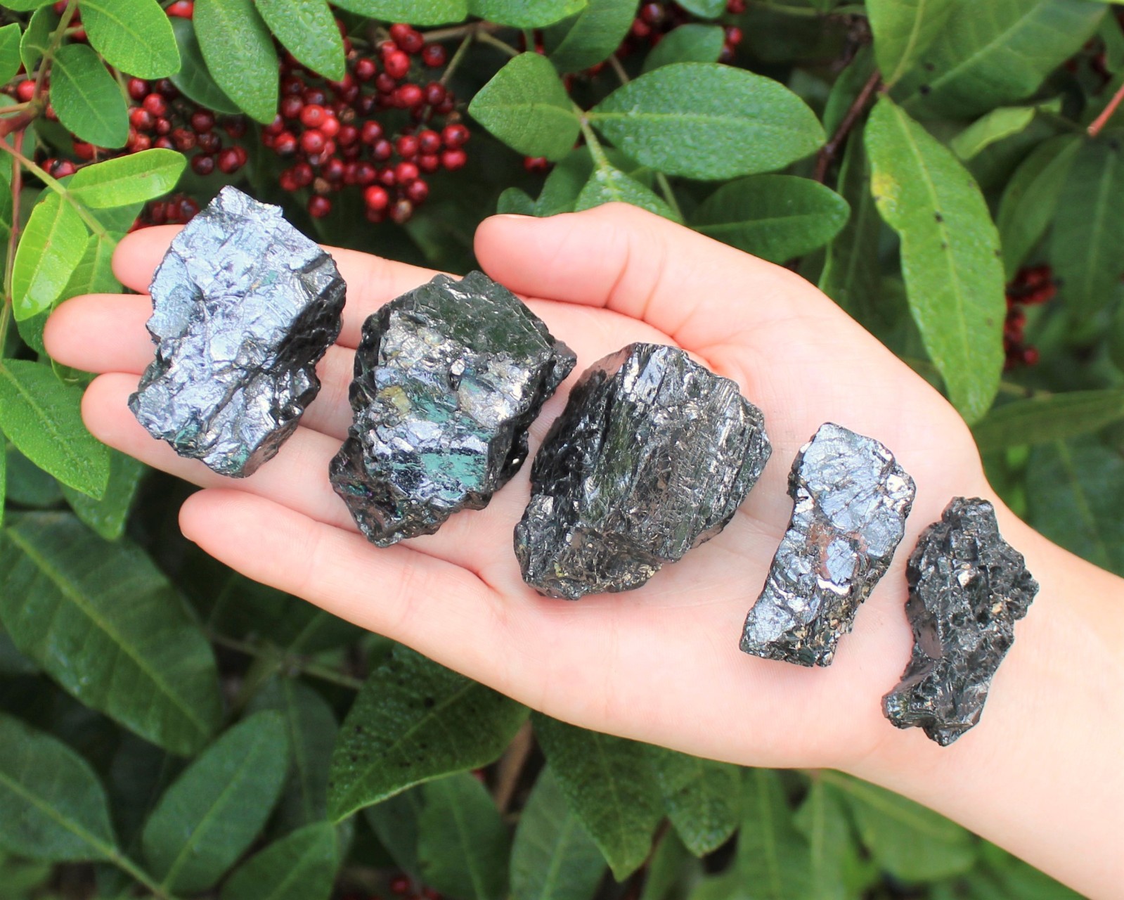 Elite Shungite 1.5 – 2″ Specimens: Rare ‘AAA’ Noble Shungite Crystals, EMF