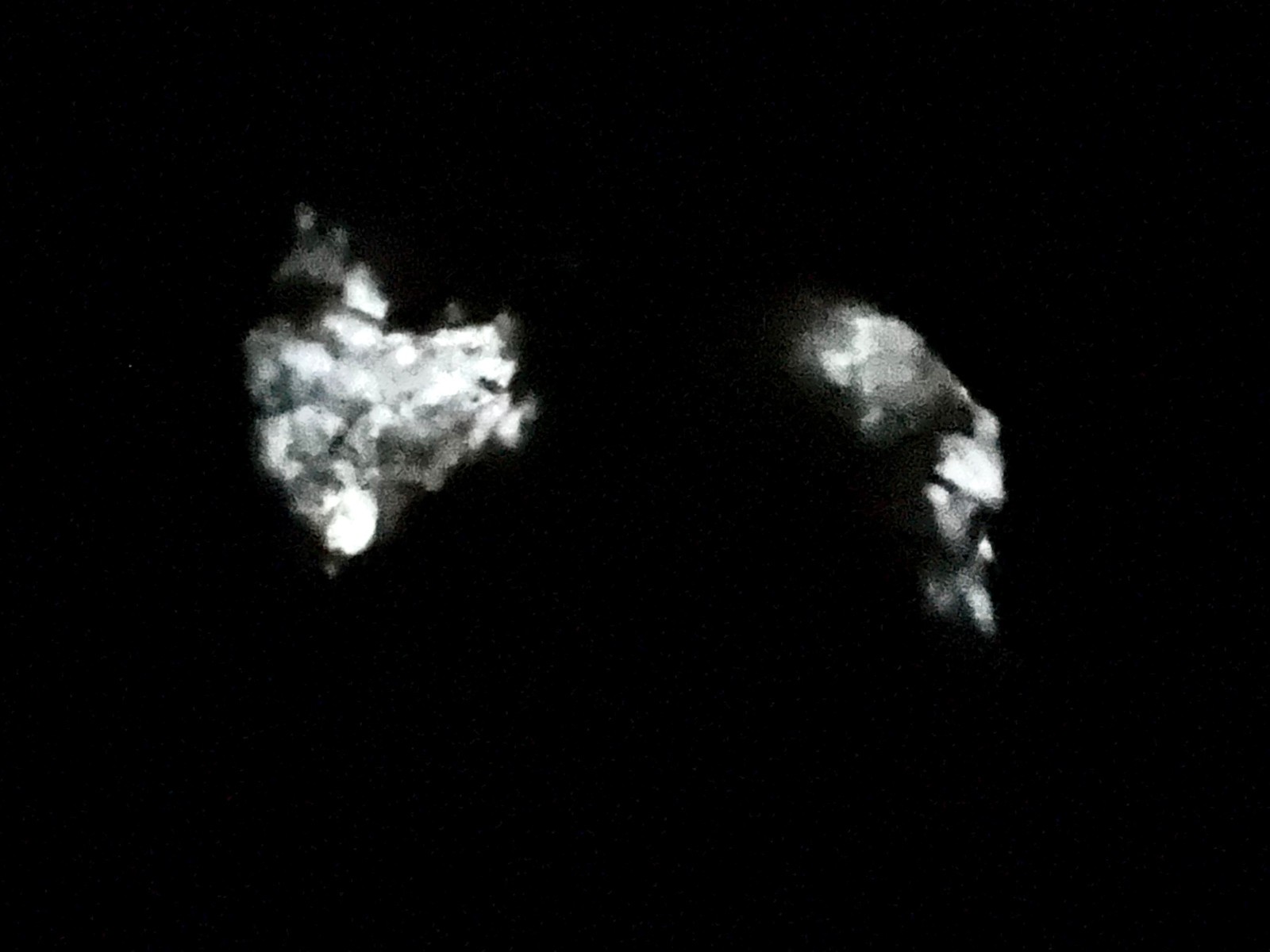 34 Gr Winchite/Hackmanite/ Fluorescent, Color Change Crystals On Matrix