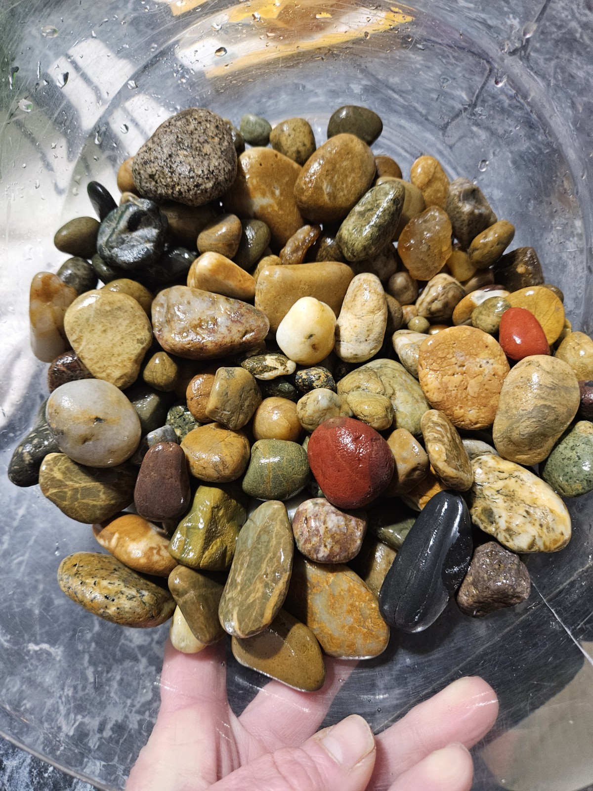 Found On Oregon Coast Raw Agates, Red, Yellow, Green Jasper, Quartz, Amber