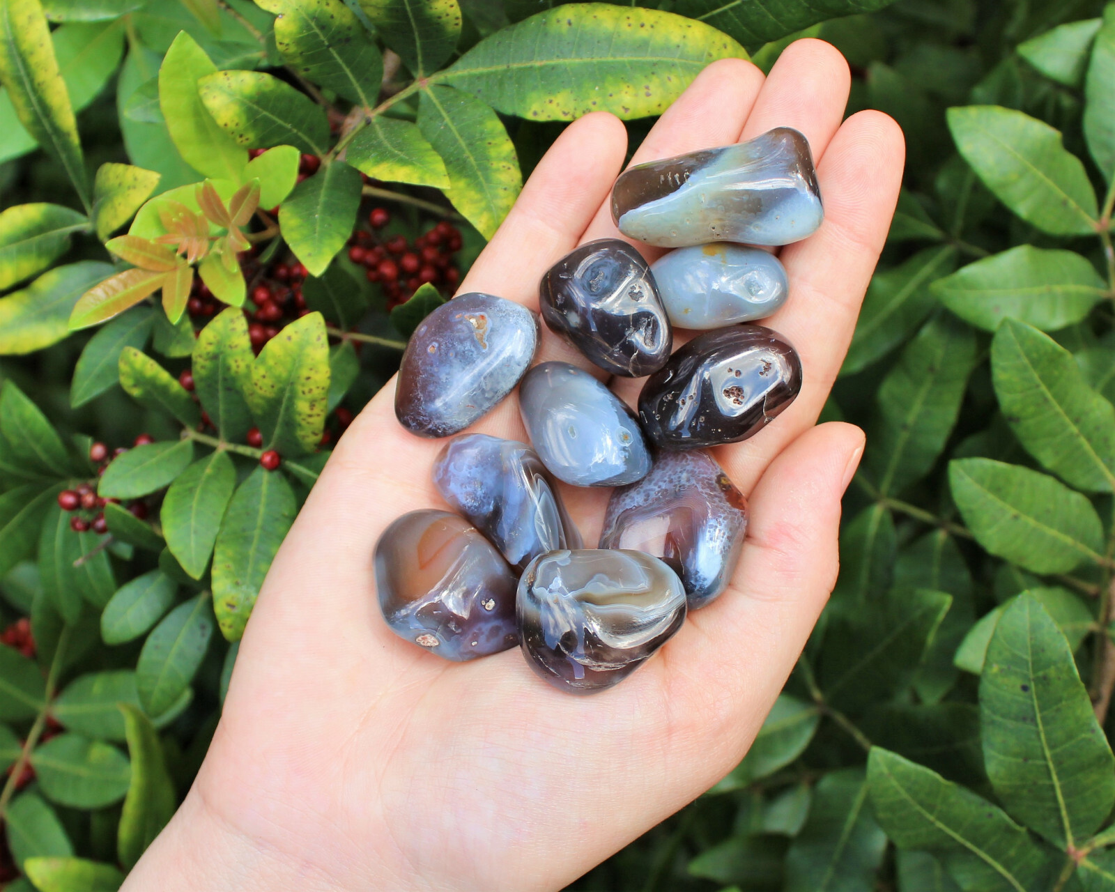 1/2 lb Bulk Lot Botswana Gray Agate Tumbled Stone Crystal Gemstone Grey 8 oz