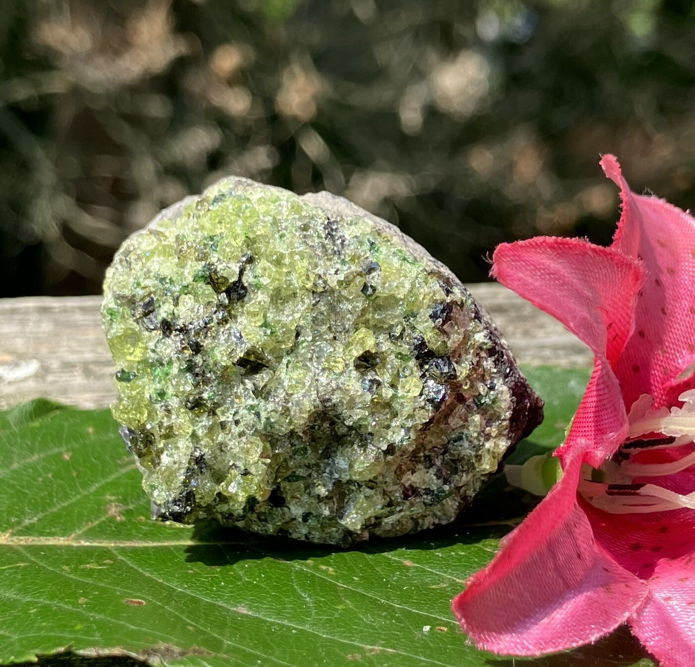 50g NATURAL RAW GREEN PERIDOT OLIVINE CRYSTALS on BASALT MATRIX Reiki USA