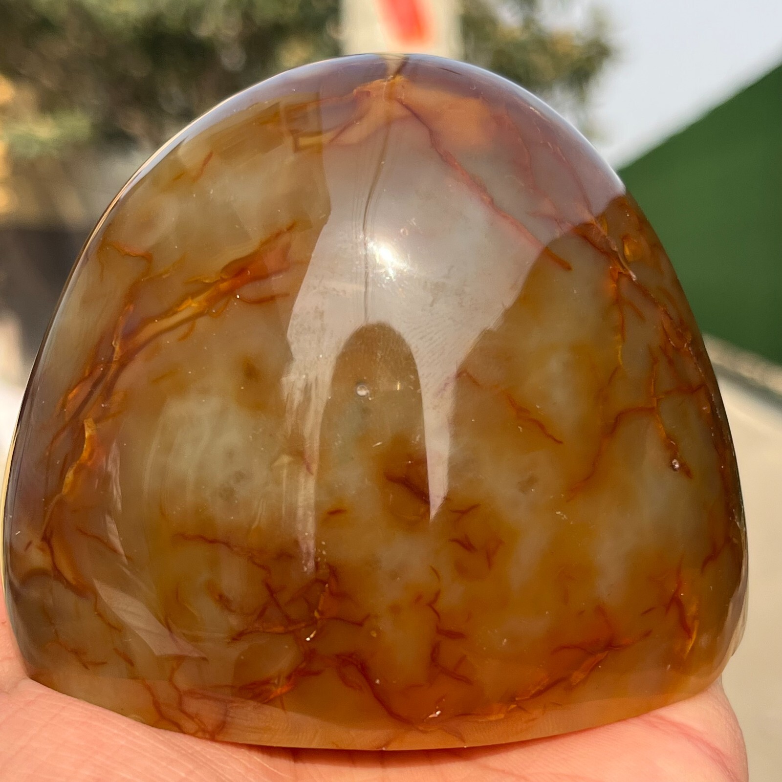 731g Rare Natural Carnelian Geode Agate Quartz Crystal Mineral Healing