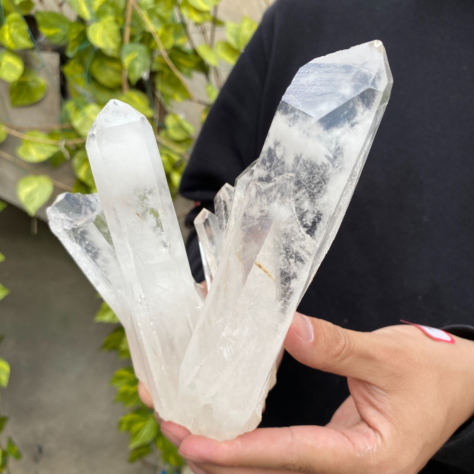 2.3lb Natural Clear White quart Crystal Cluster Raw Healing Specimen