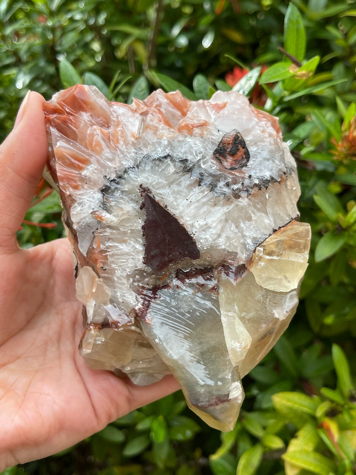Extra Large Red/Brown Calcite Rough Natural, 4″ – 6″ Raw Calcite Red/Brown