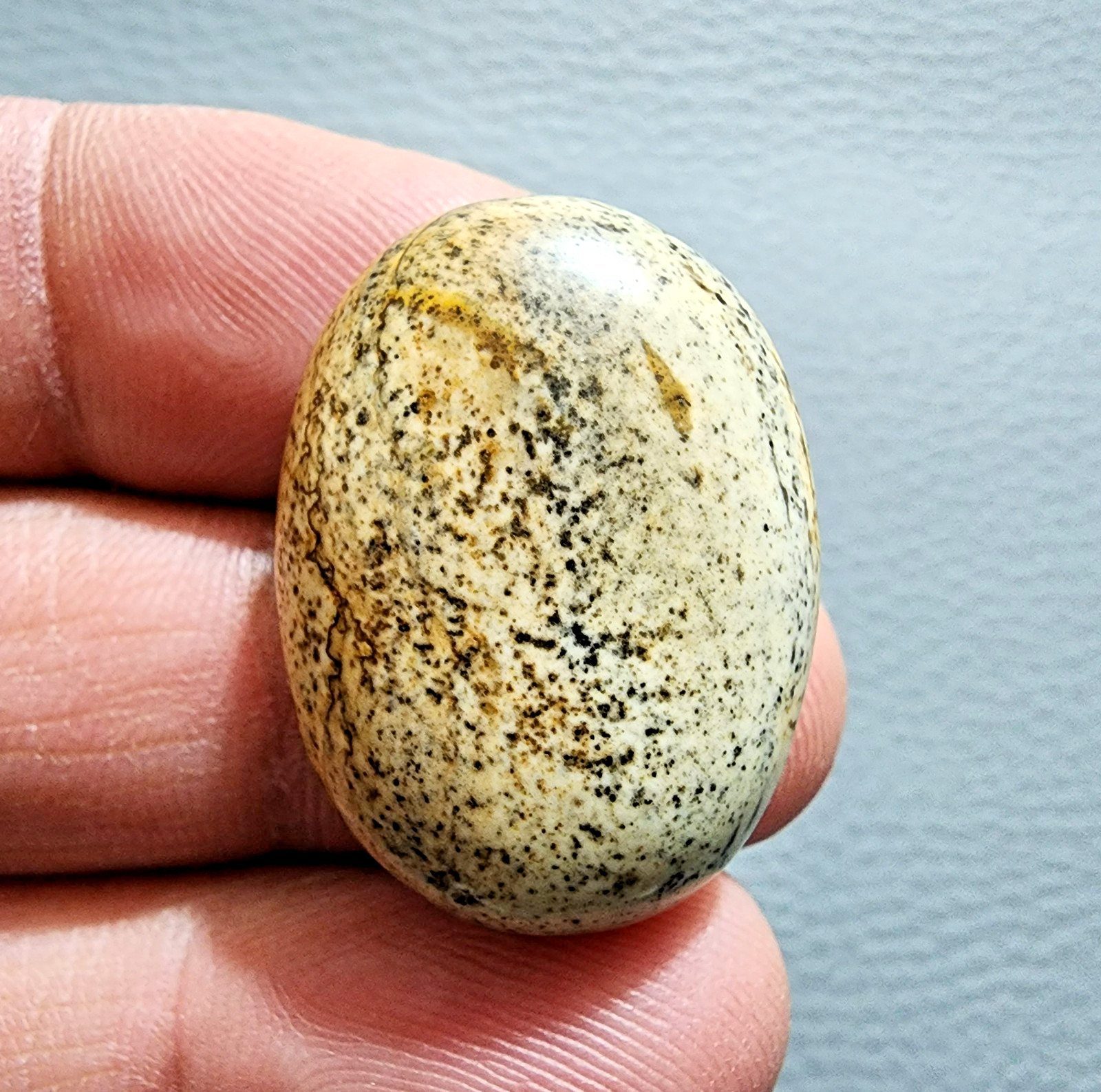 38.90ct Attractive Picture Jasper Gemstone Oval Cabochon – Natural Rare Stone