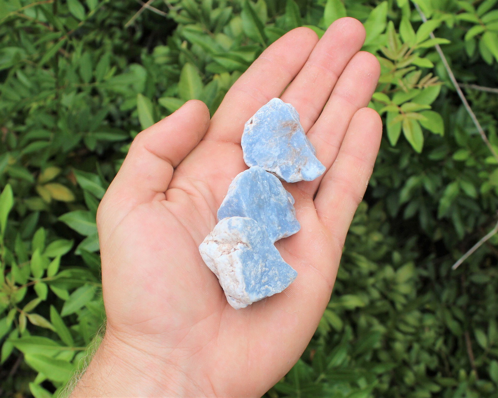 Bulk Lot 3 Pieces Rough Natural Angelite Crystals (About 4 – 6 oz)