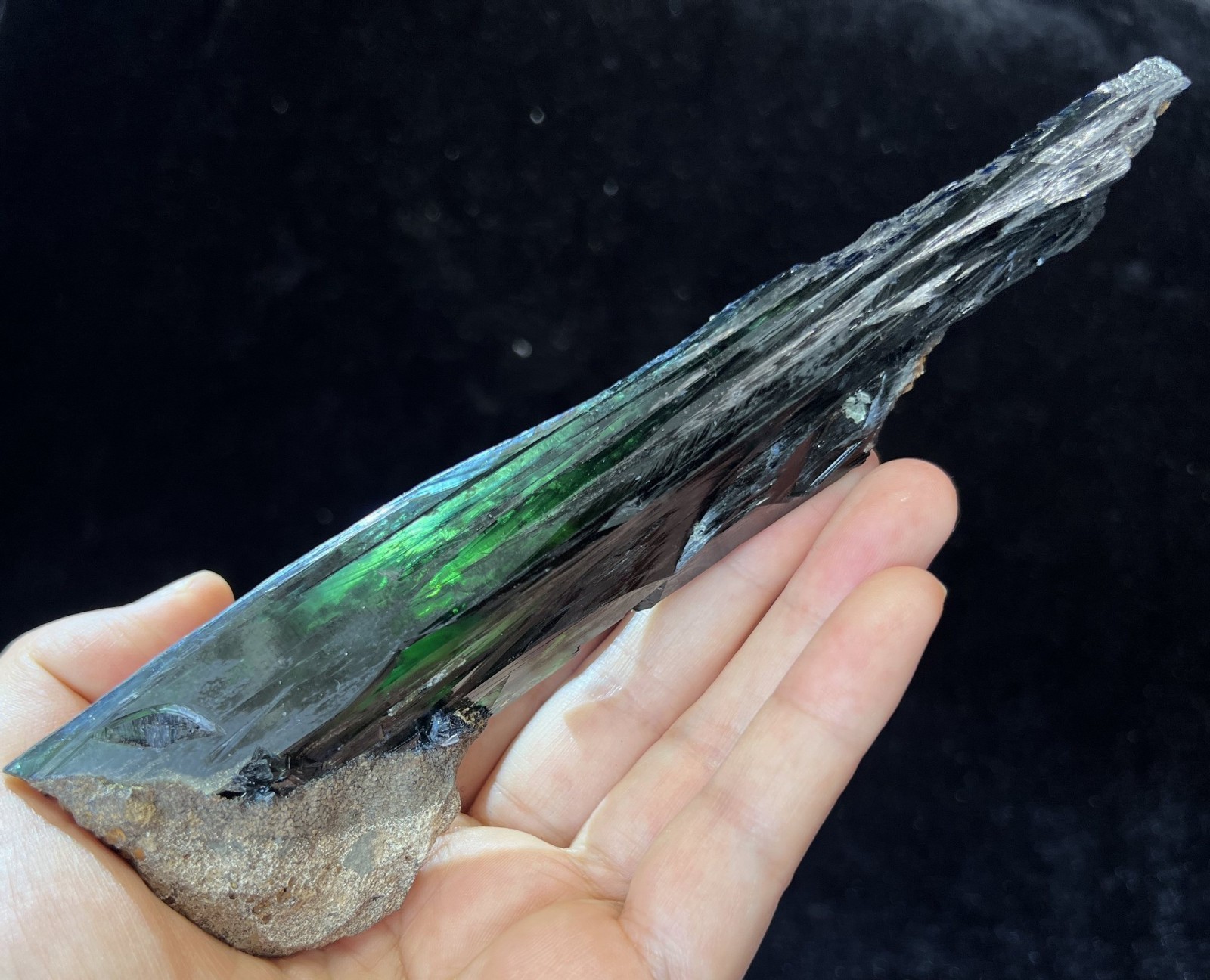 LARGE – 165mm Gemmy Vivianite mined from Brazil, Natural Mineral Specimen
