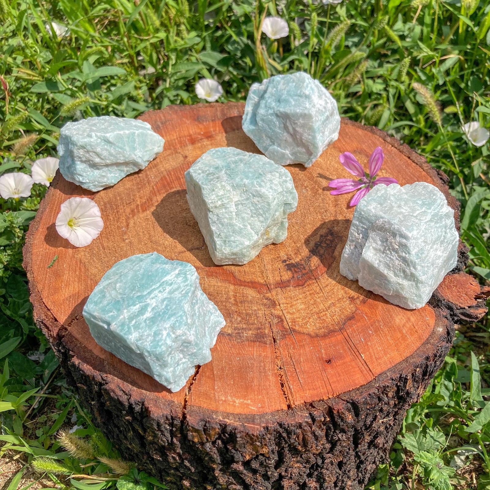 Raw Amazonite Crystal / Throat / March Gift / Communication / Clairvoyance