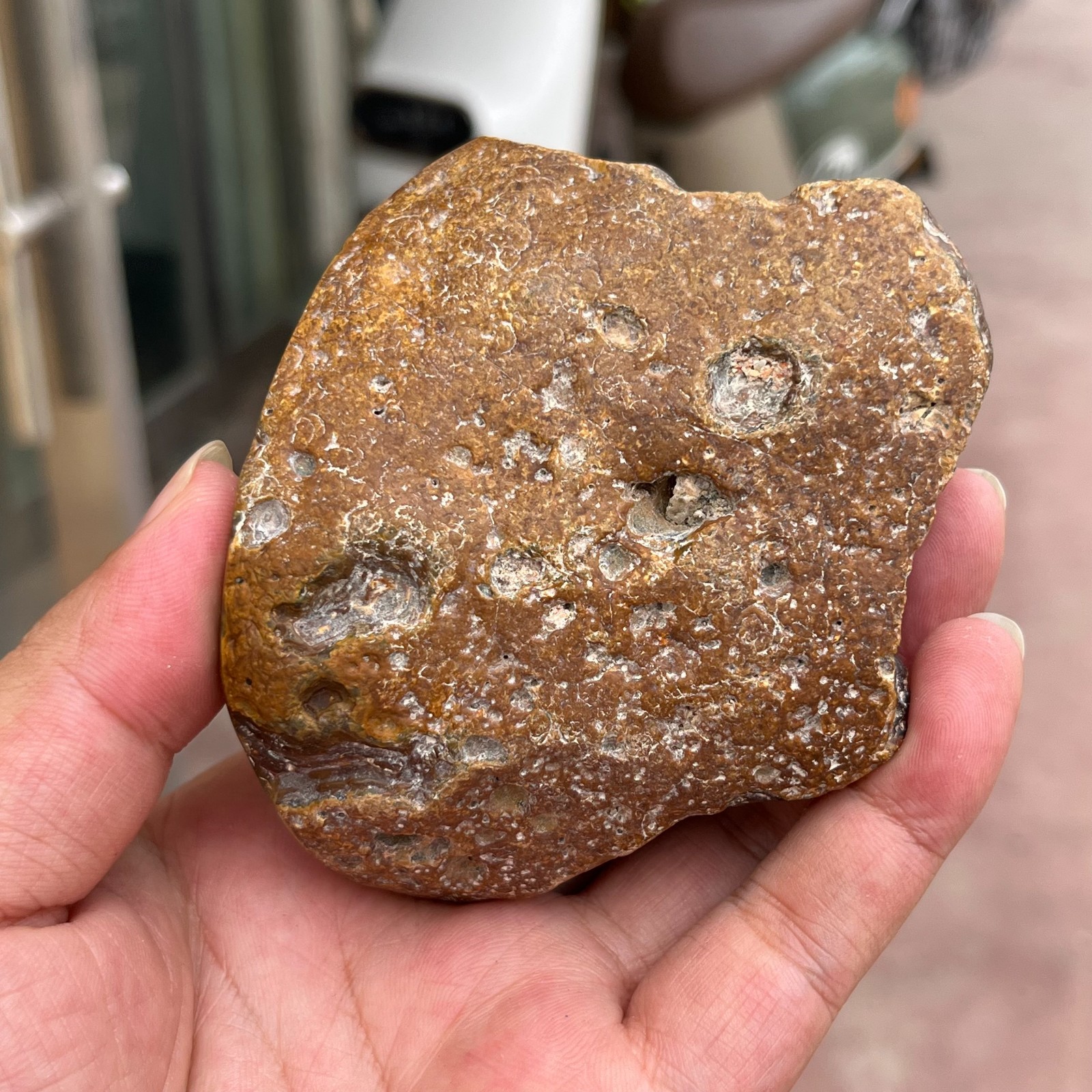 485g Small Natural Red Agate Geode Carnelian Druzy Crystal Mineral Specimen