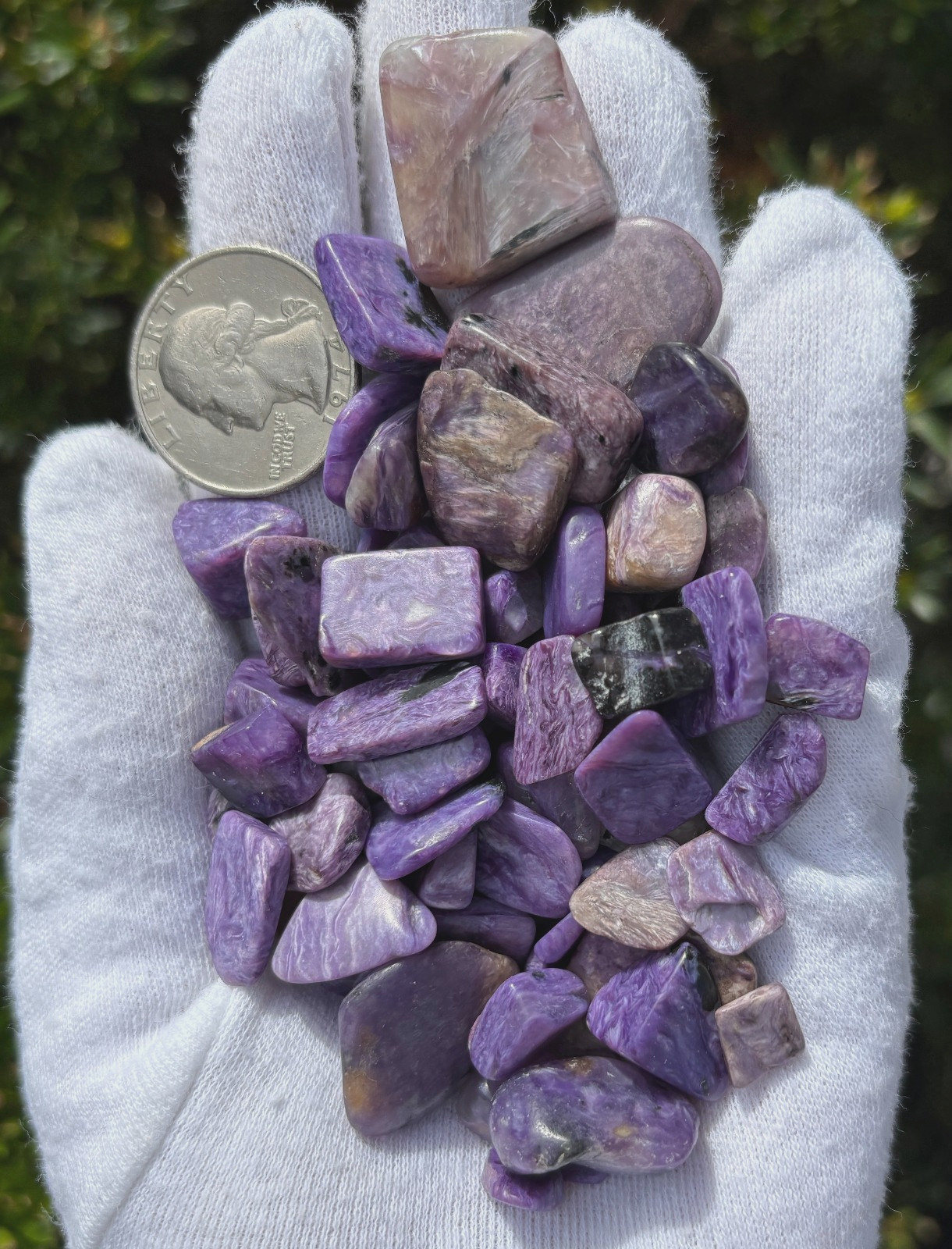 96g LOT CHAROITE CHIPS REAL AUTHENTIC MIXED SIZES: SMALL XS TINY