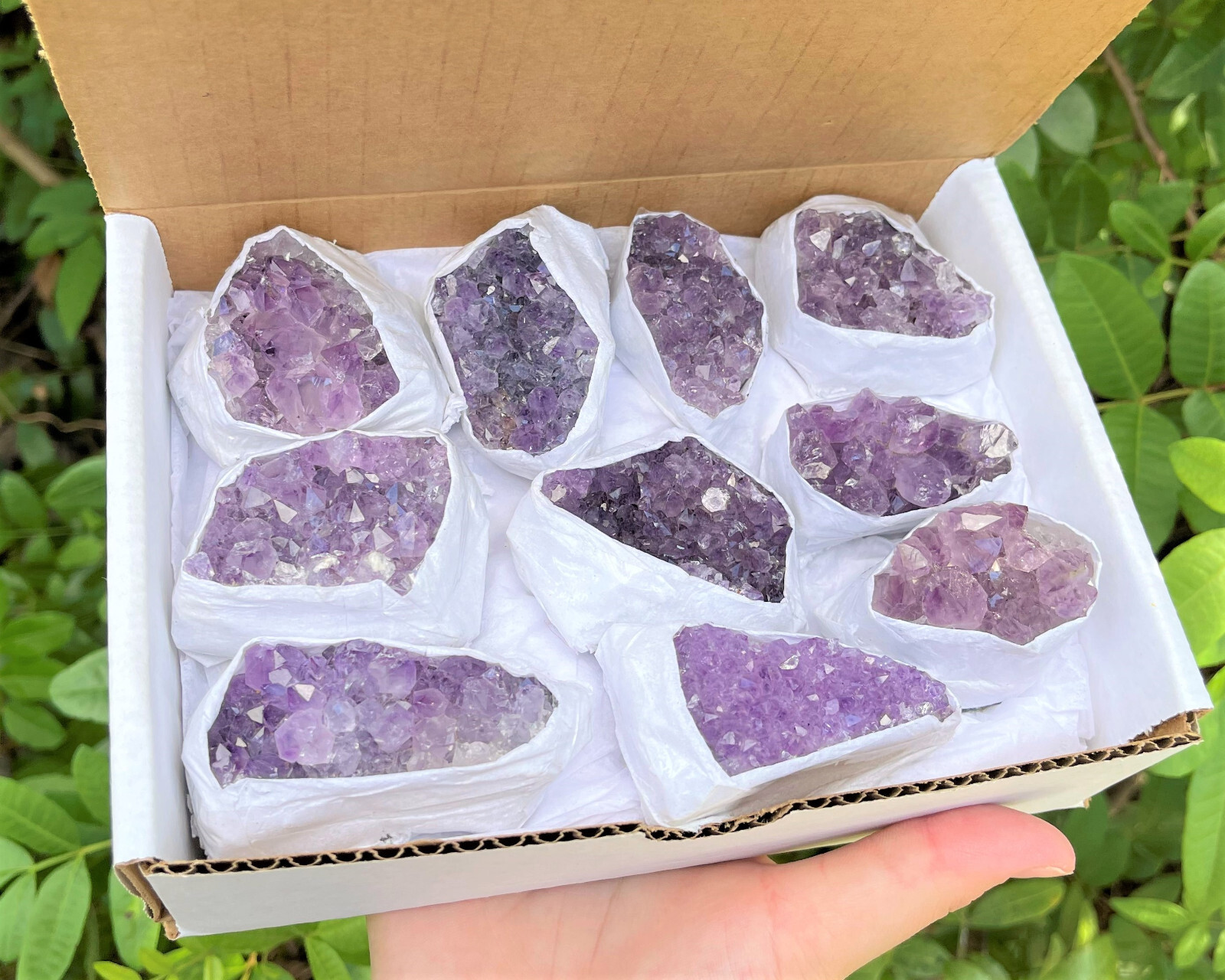 Wholesale Bulk Natural Amethyst Crystal Clusters: 6-9 Piece Lot (Quartz Geode)