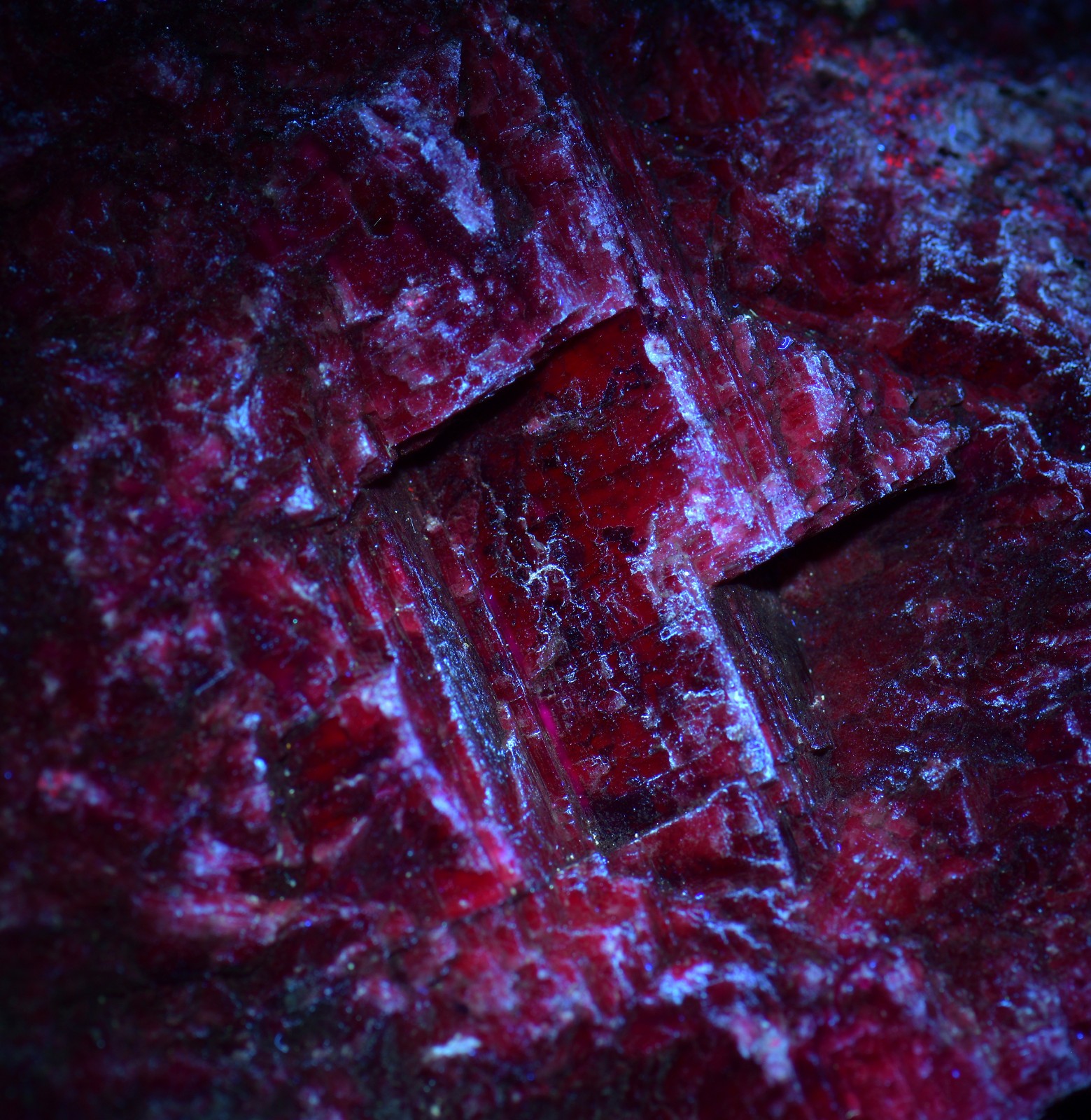 Ruby with large Kyanite crystals, UV. Mysore, Kamataka, India. 720 grams.