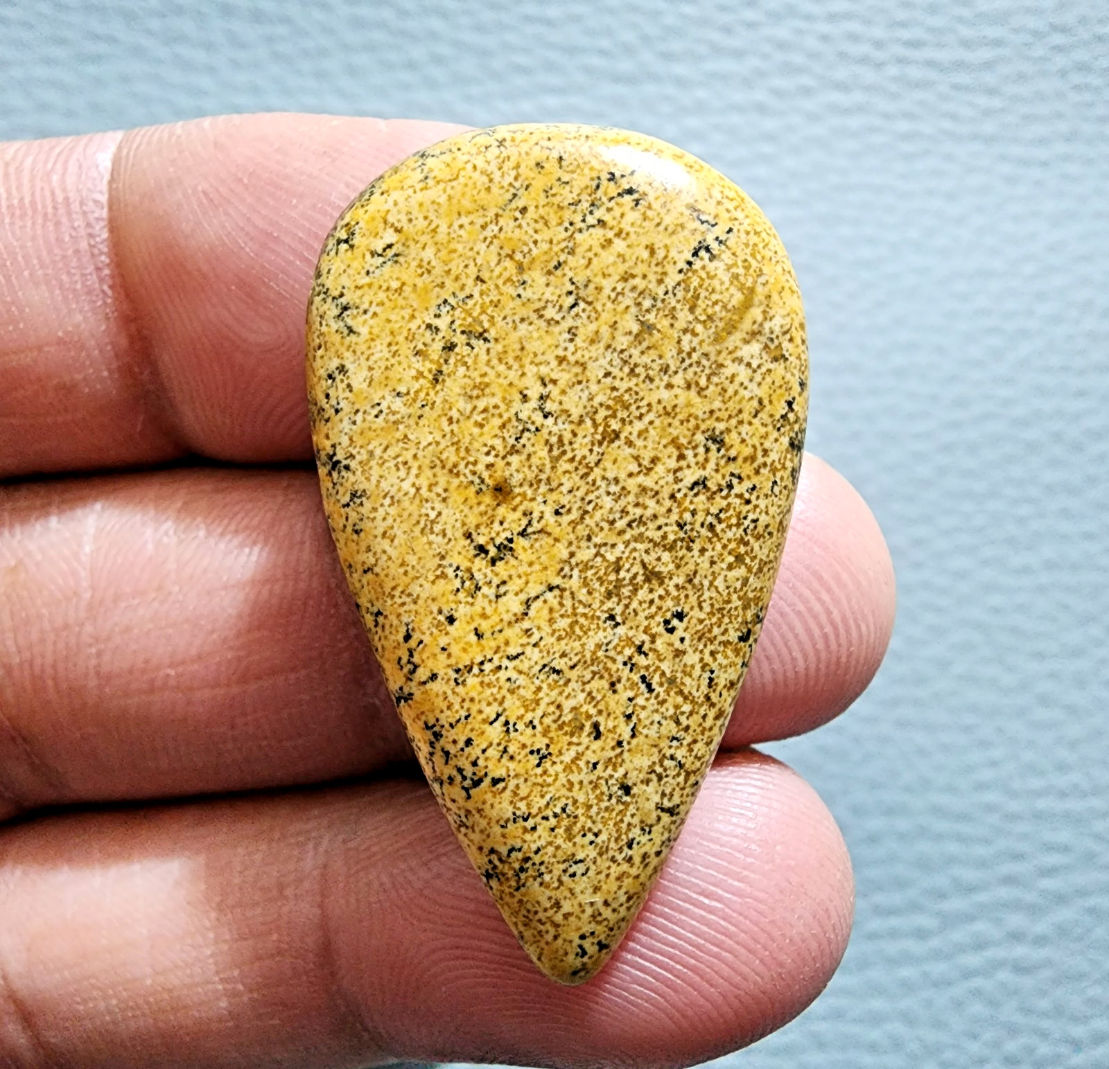 Amazing Picture Jasper 30.50ct Pear Cabochon – Collector Rare Gemstone Jewelry