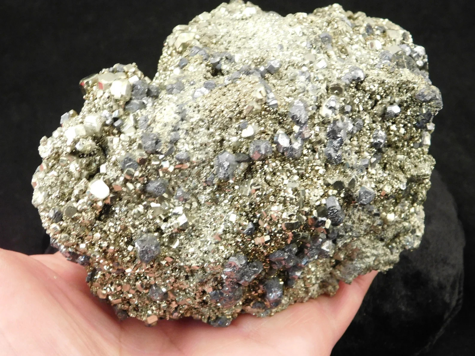 BIG! Dodecahedron PYRITE Crystal Cluster with Galena Crystals From Peru 1671gr
