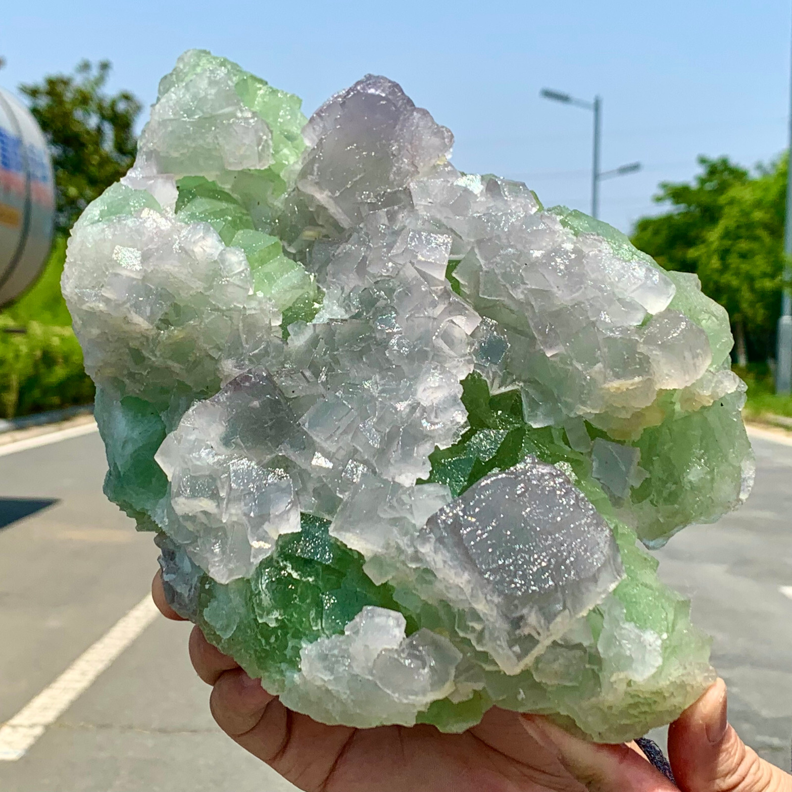 6.59LB Natural purple green fluorite cavring safe peaceful Apple crystal reiki